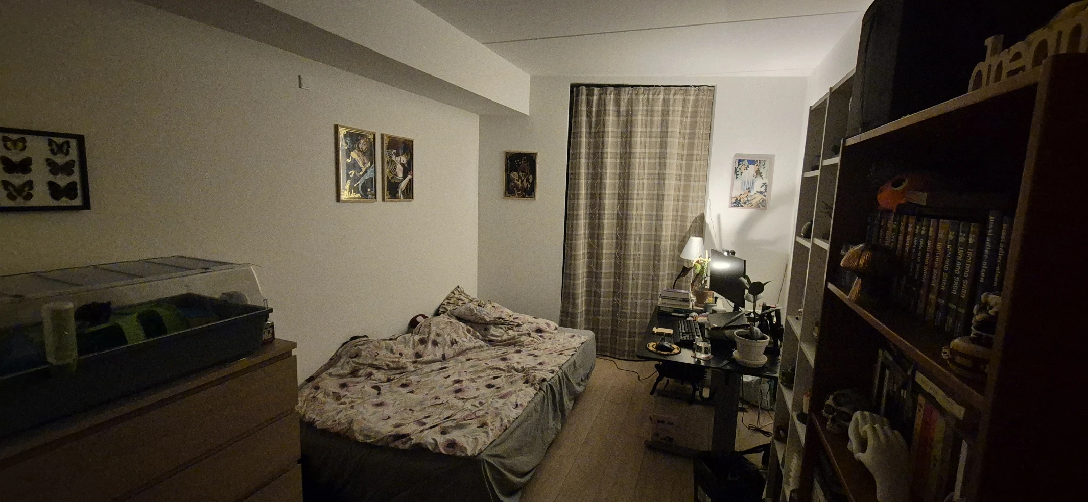 image-10