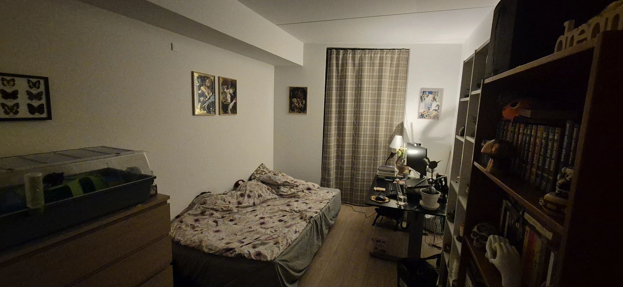 image-10