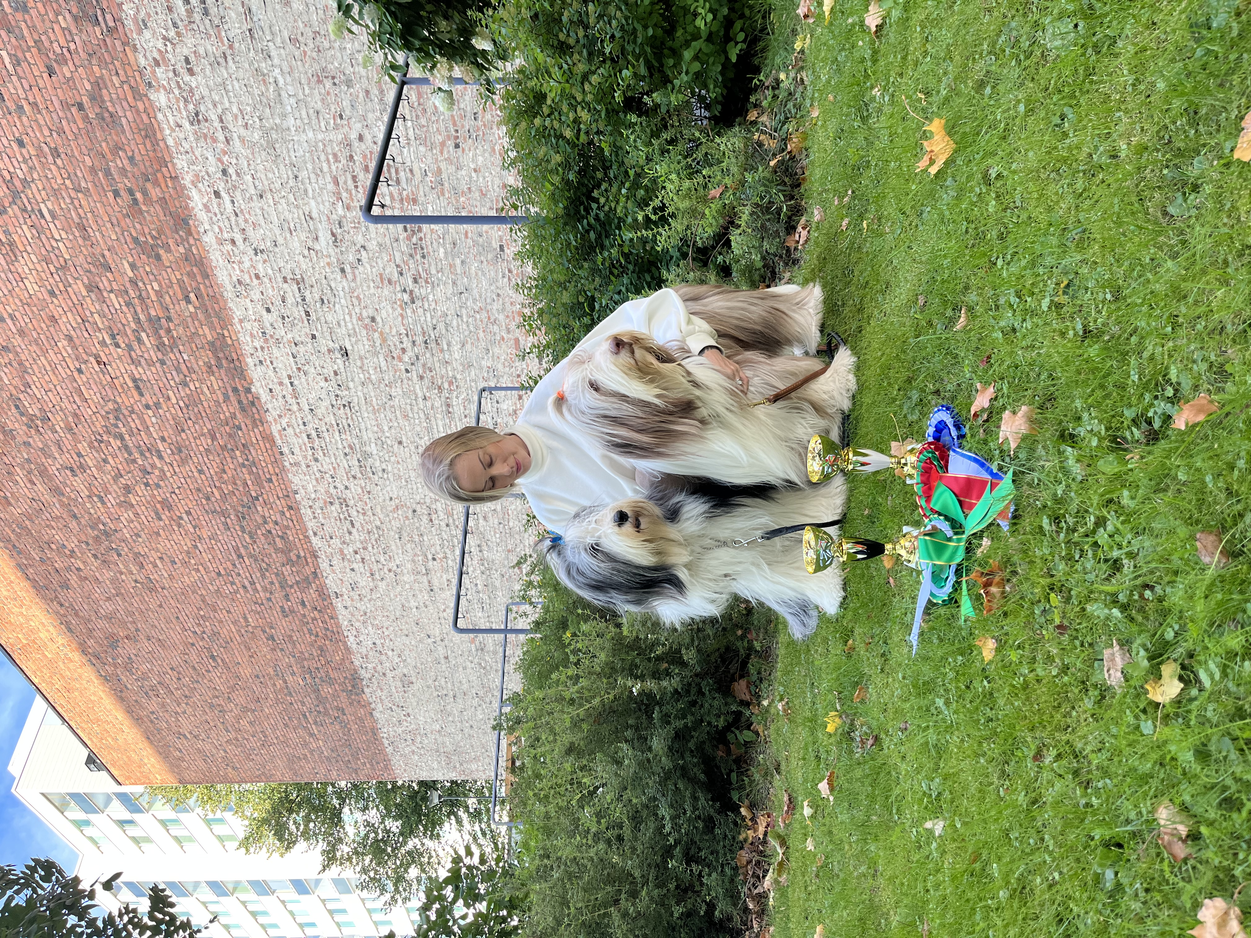 image-0