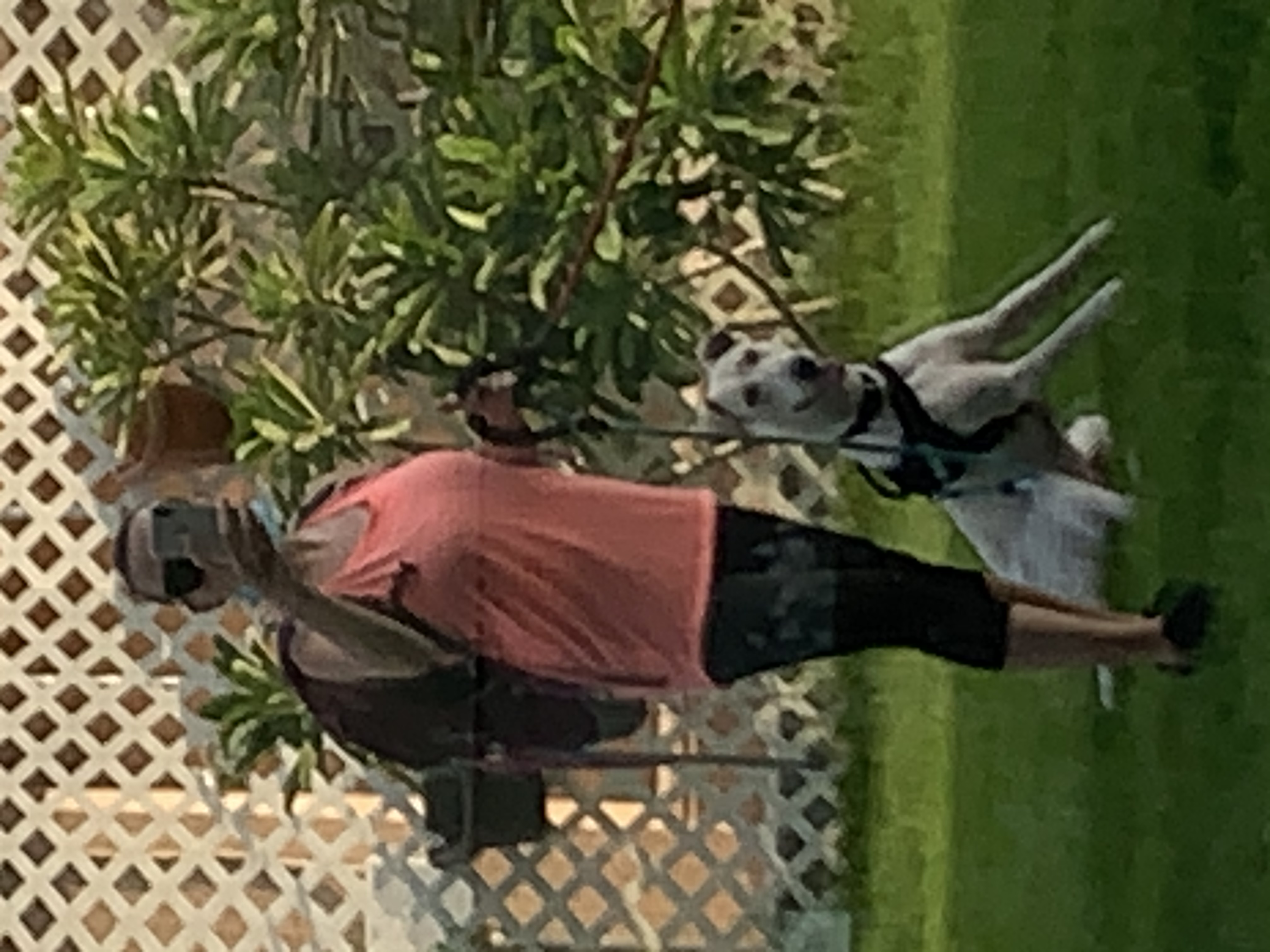 image-17