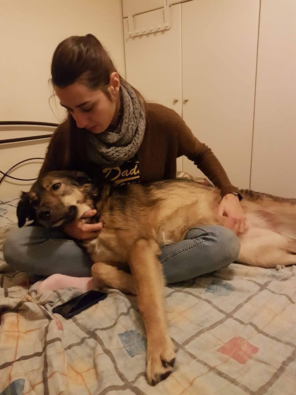 image-8