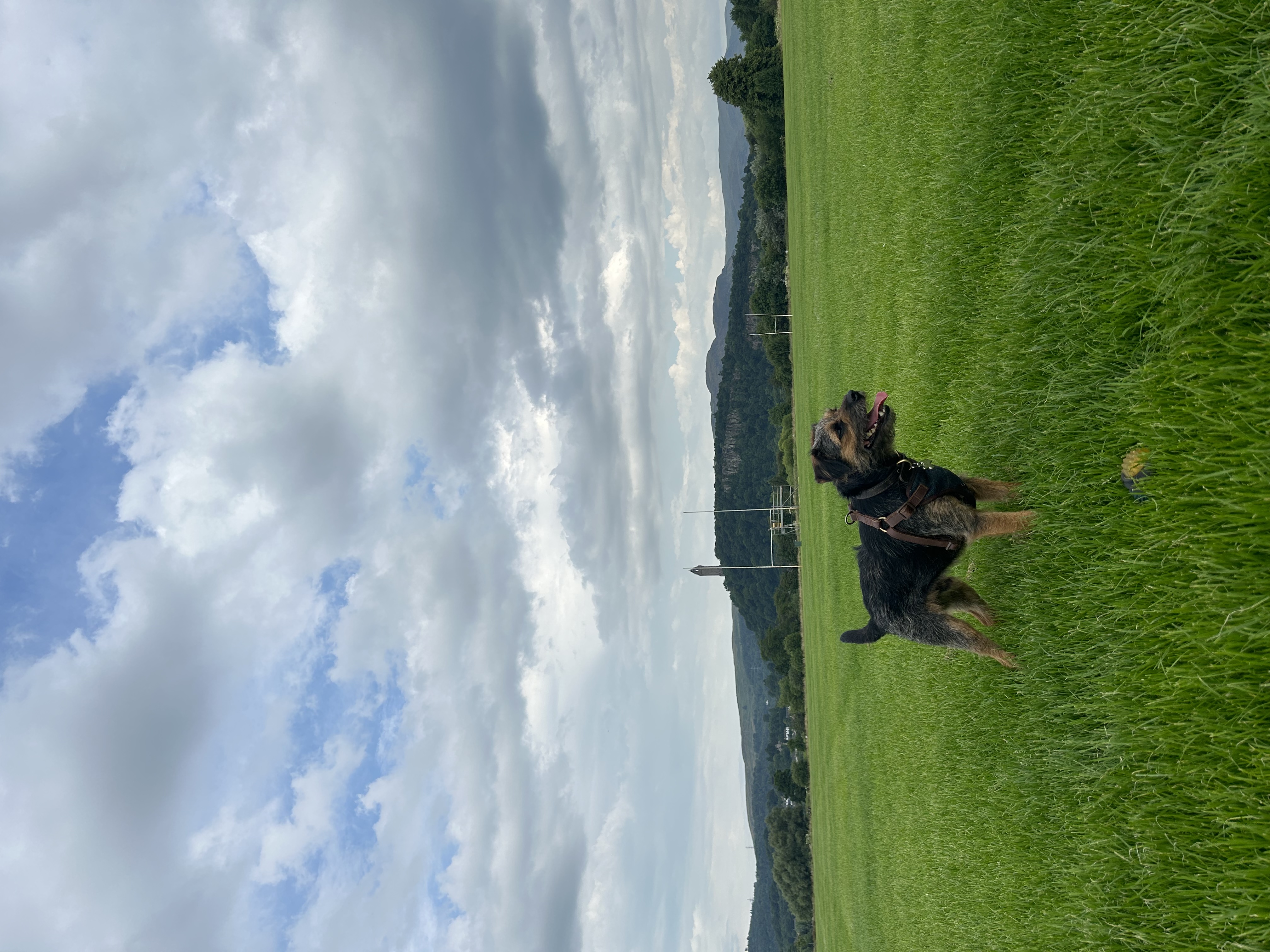 image-6