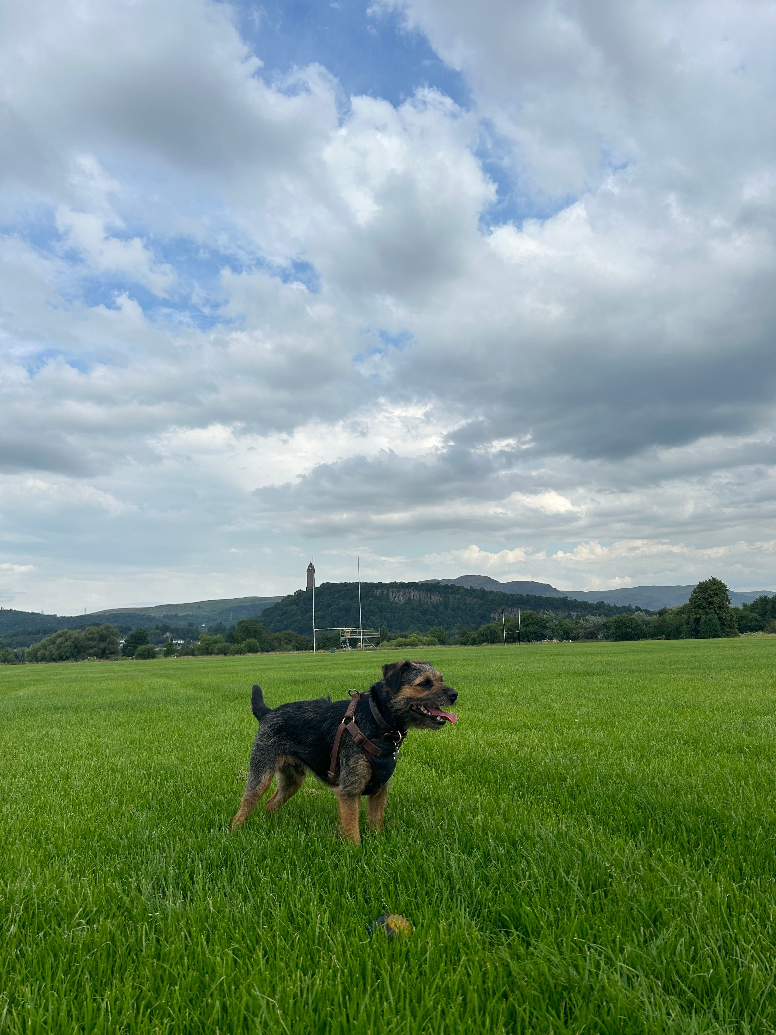 image-6
