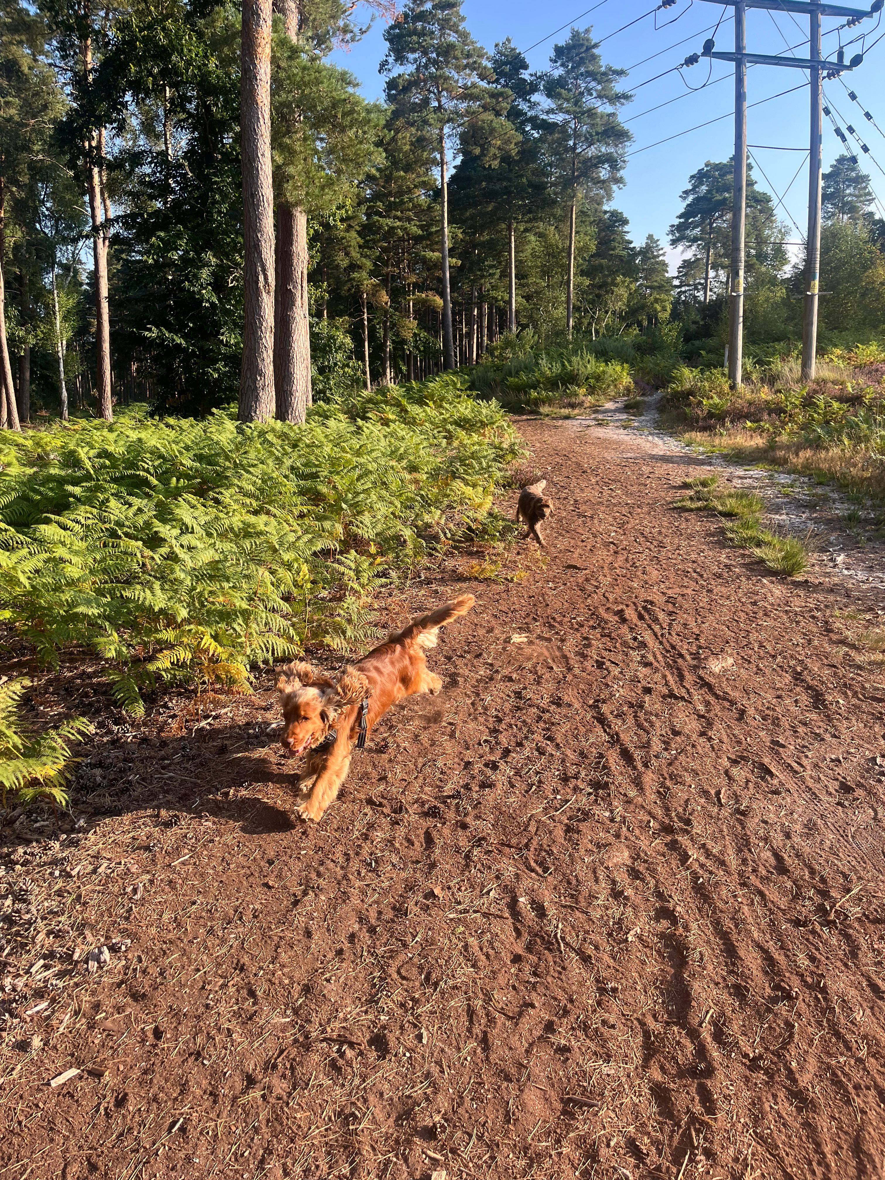 image-4