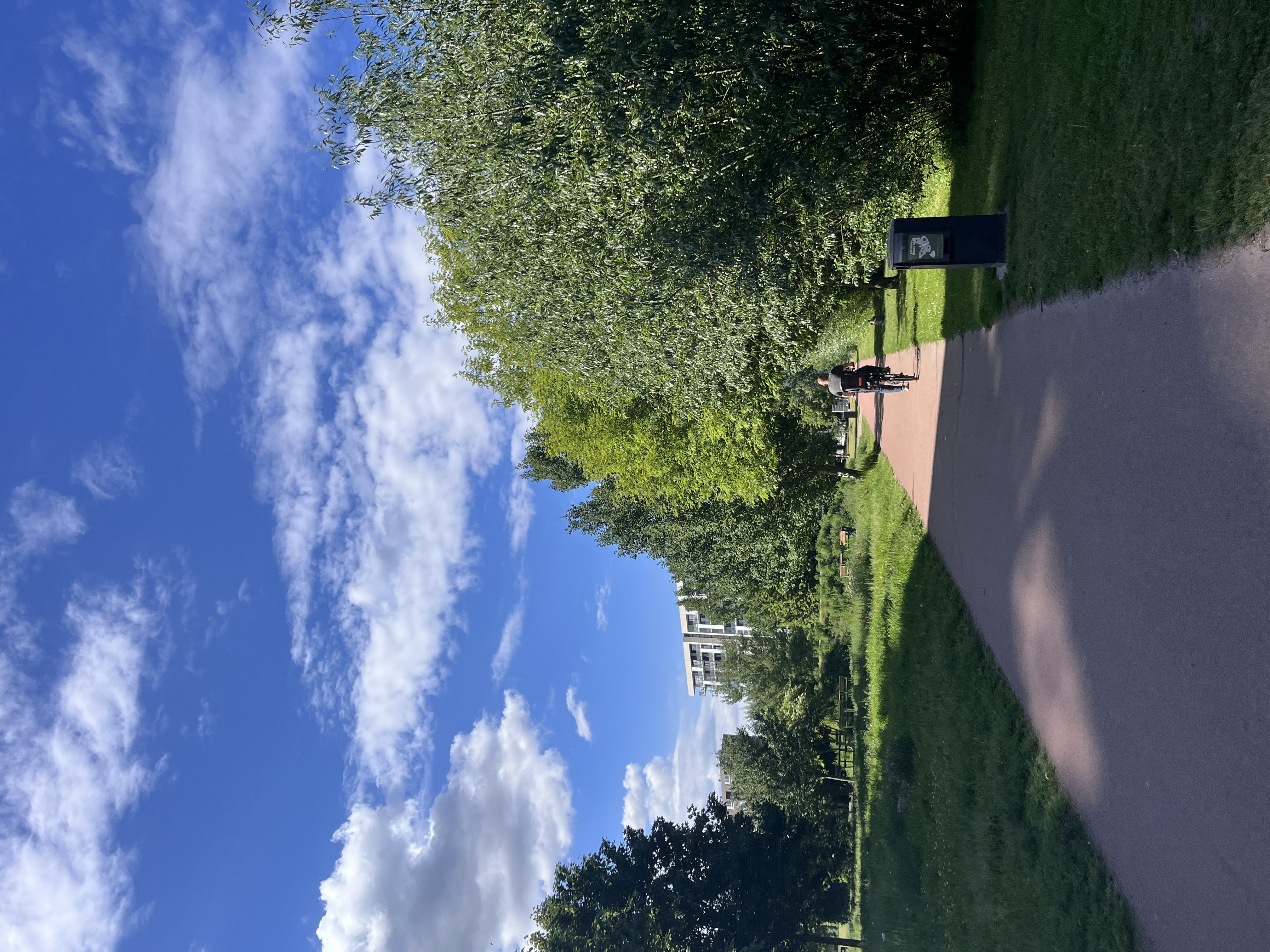 image-16