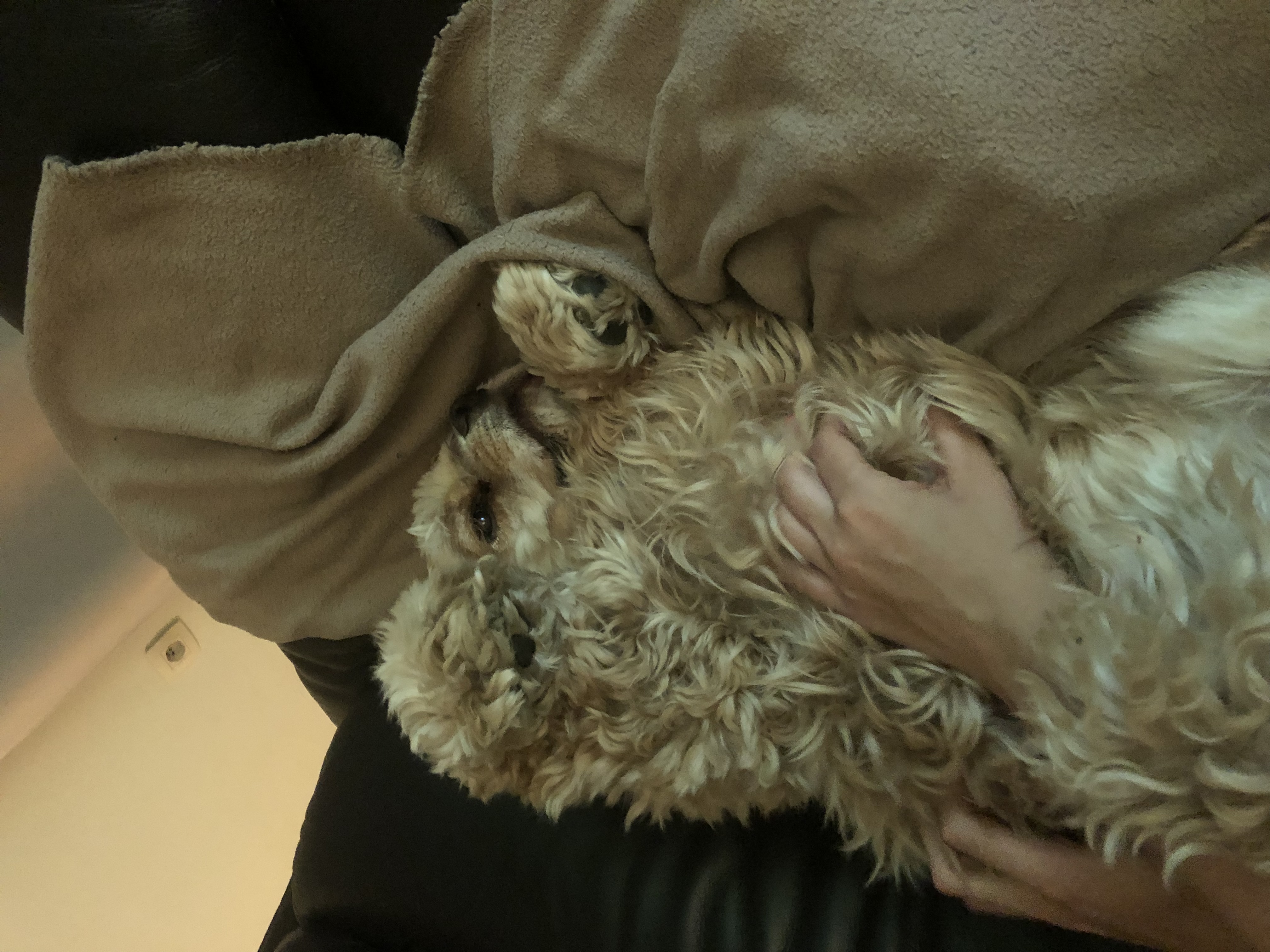 image-8