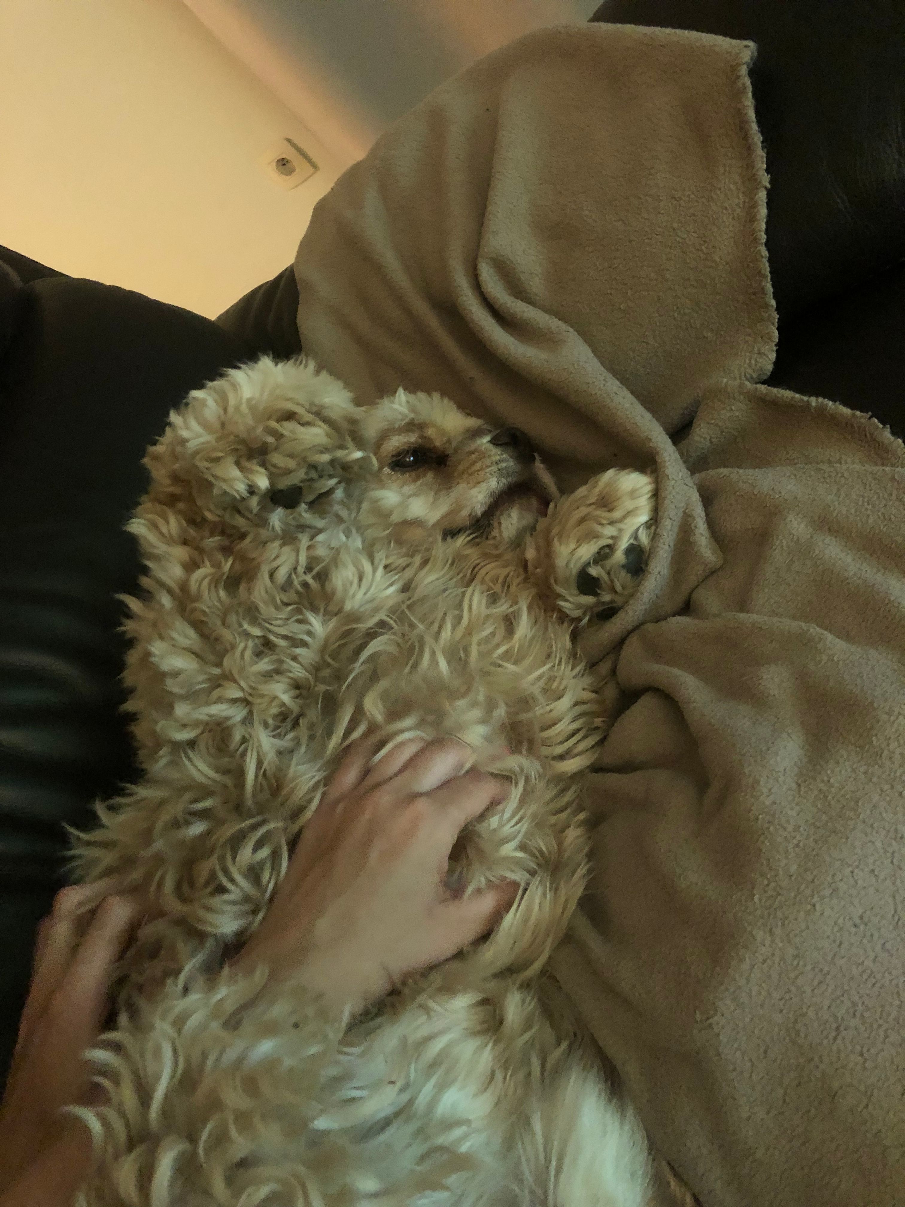image-8