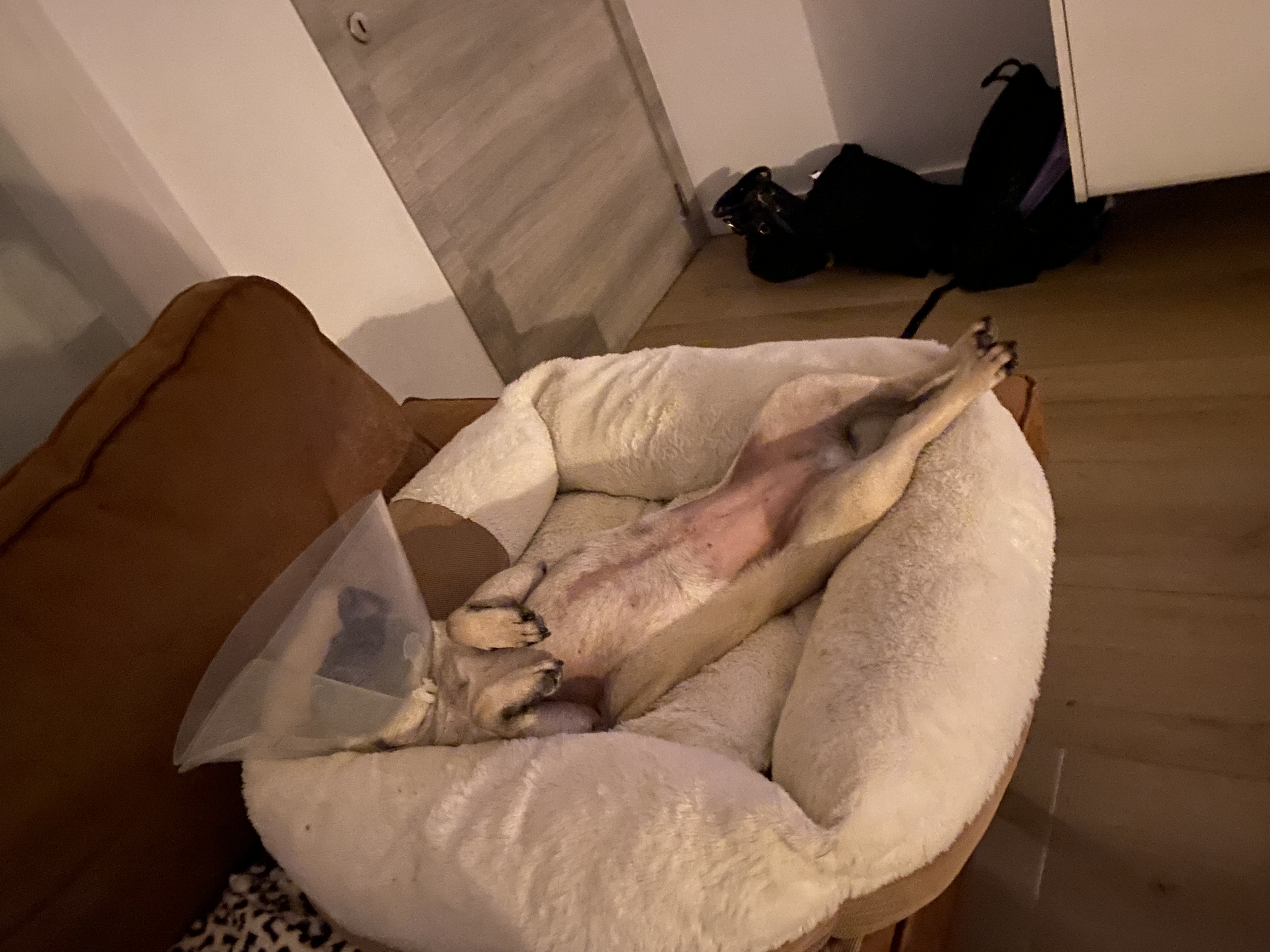 image-9