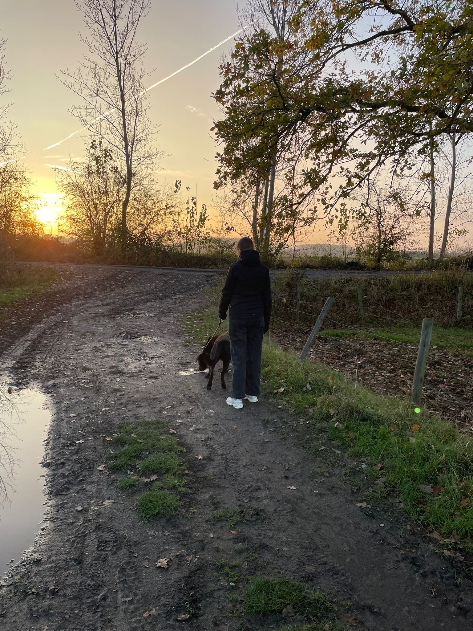 image-17