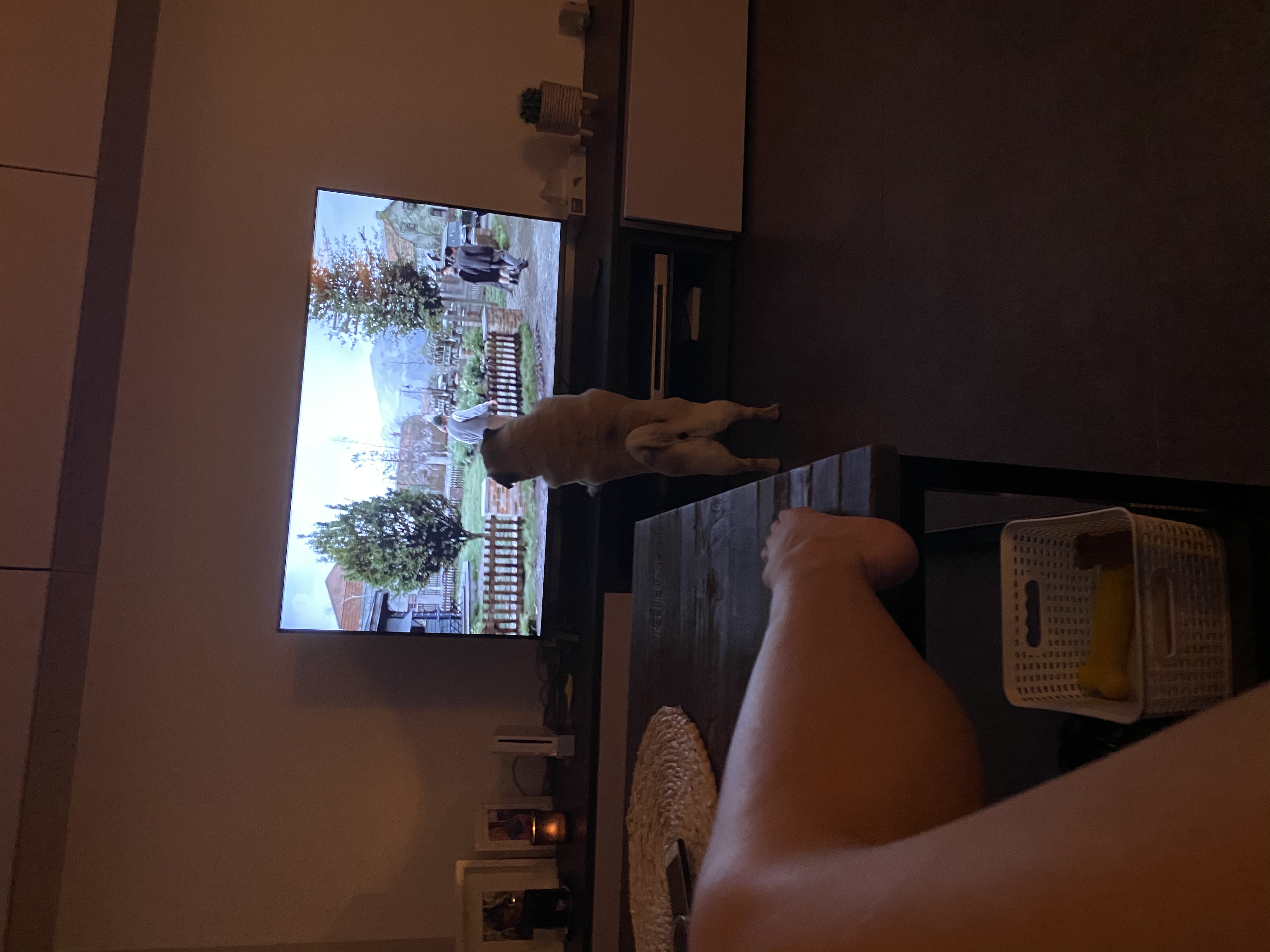 image-6