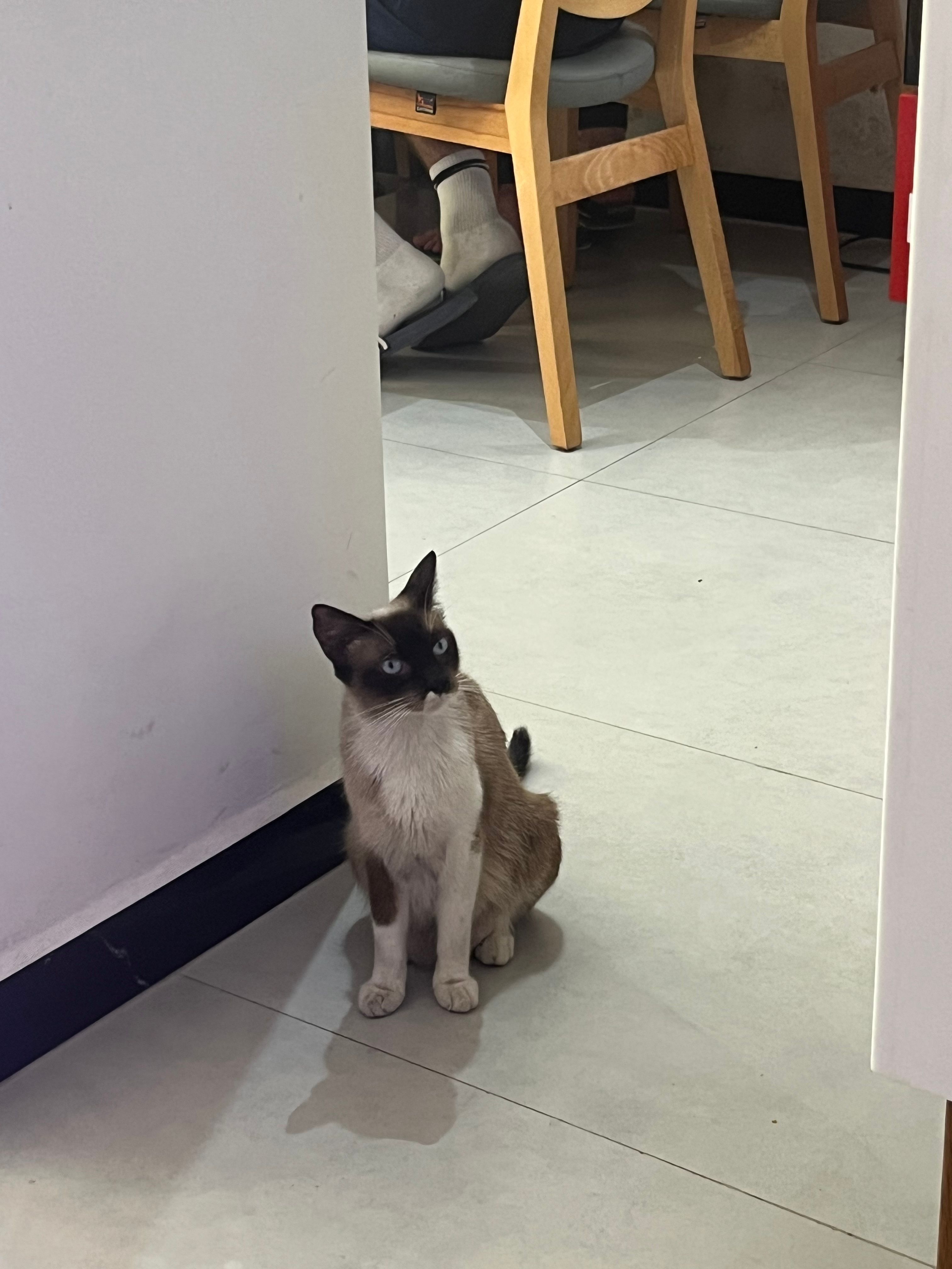 image-7