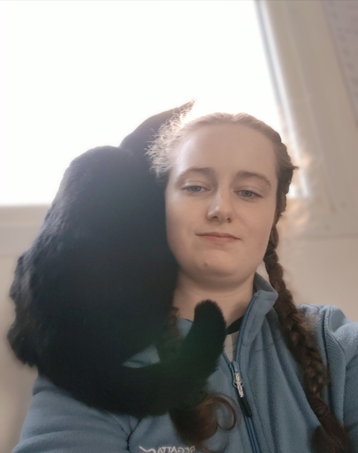 image-8