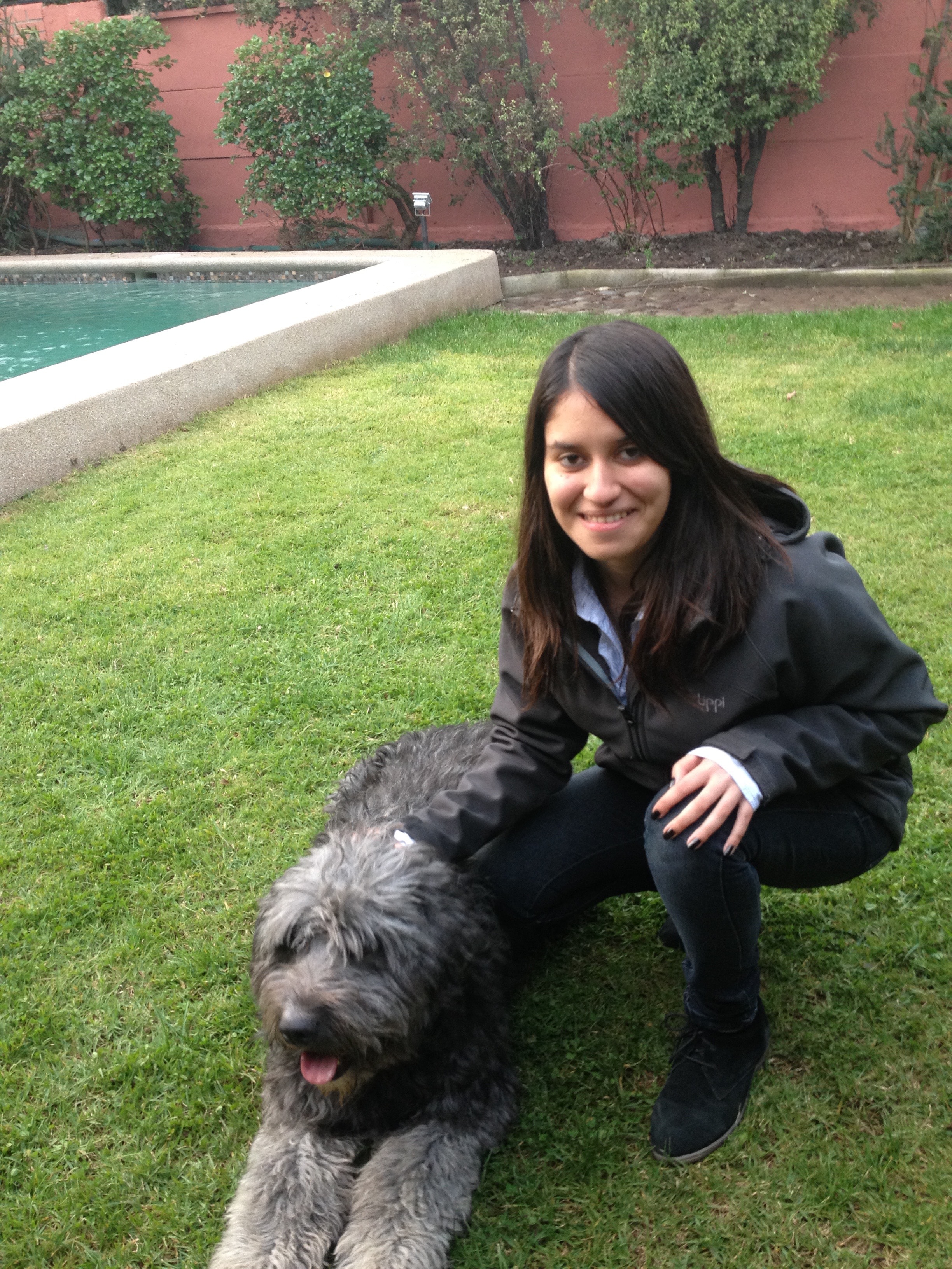 image-2