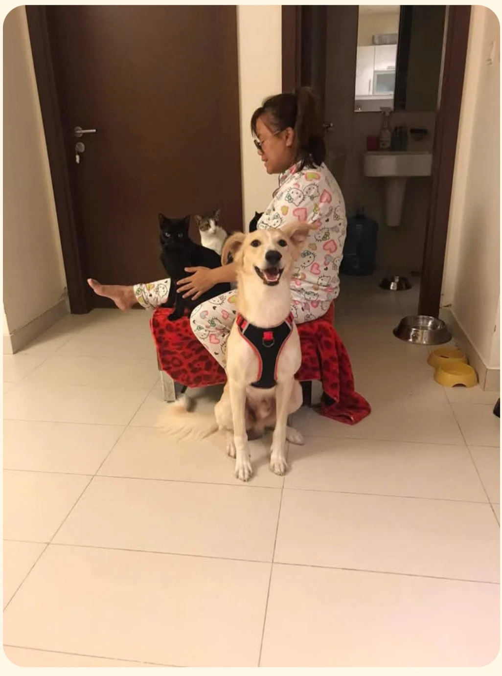 image-16