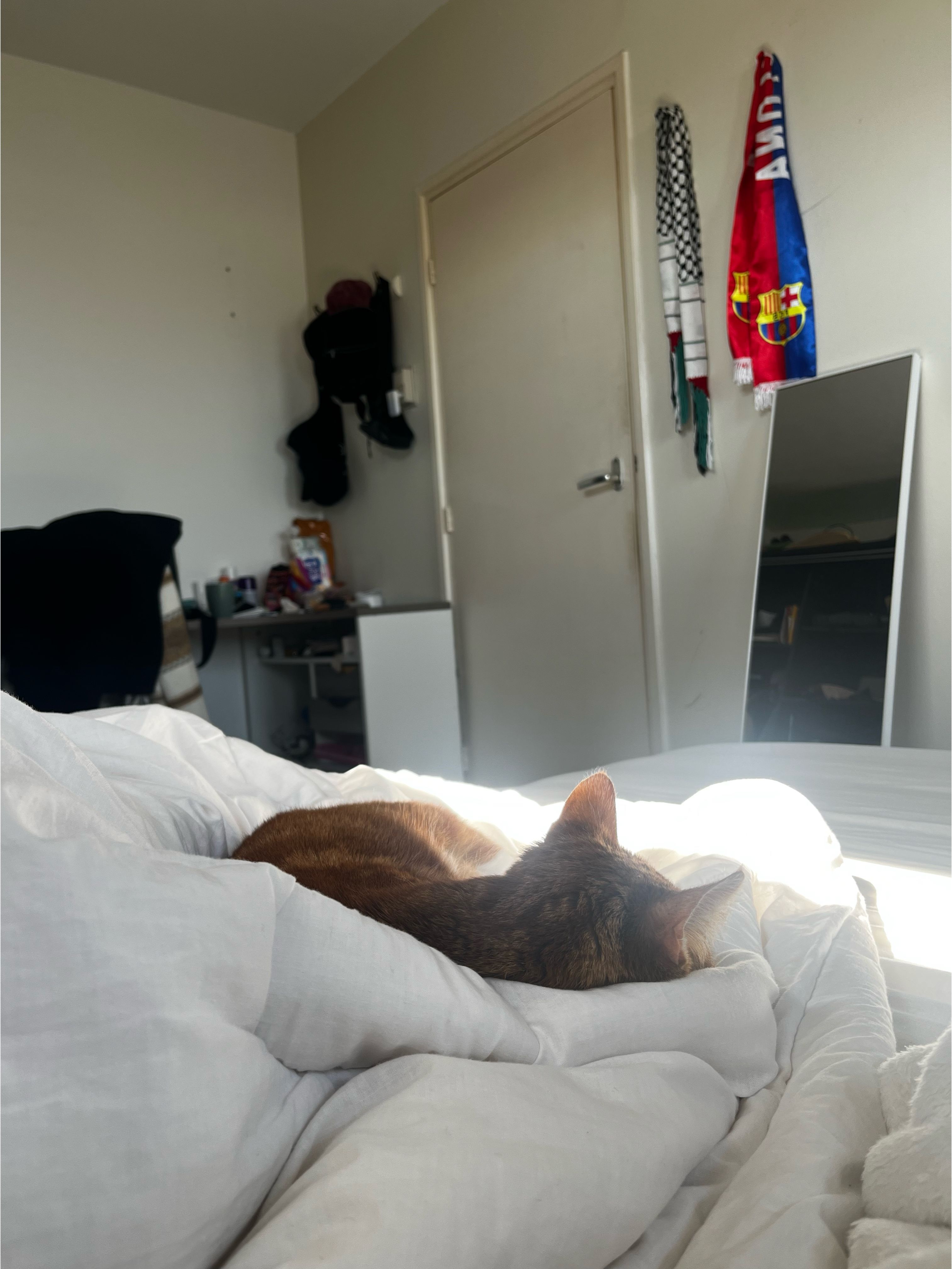 image-10