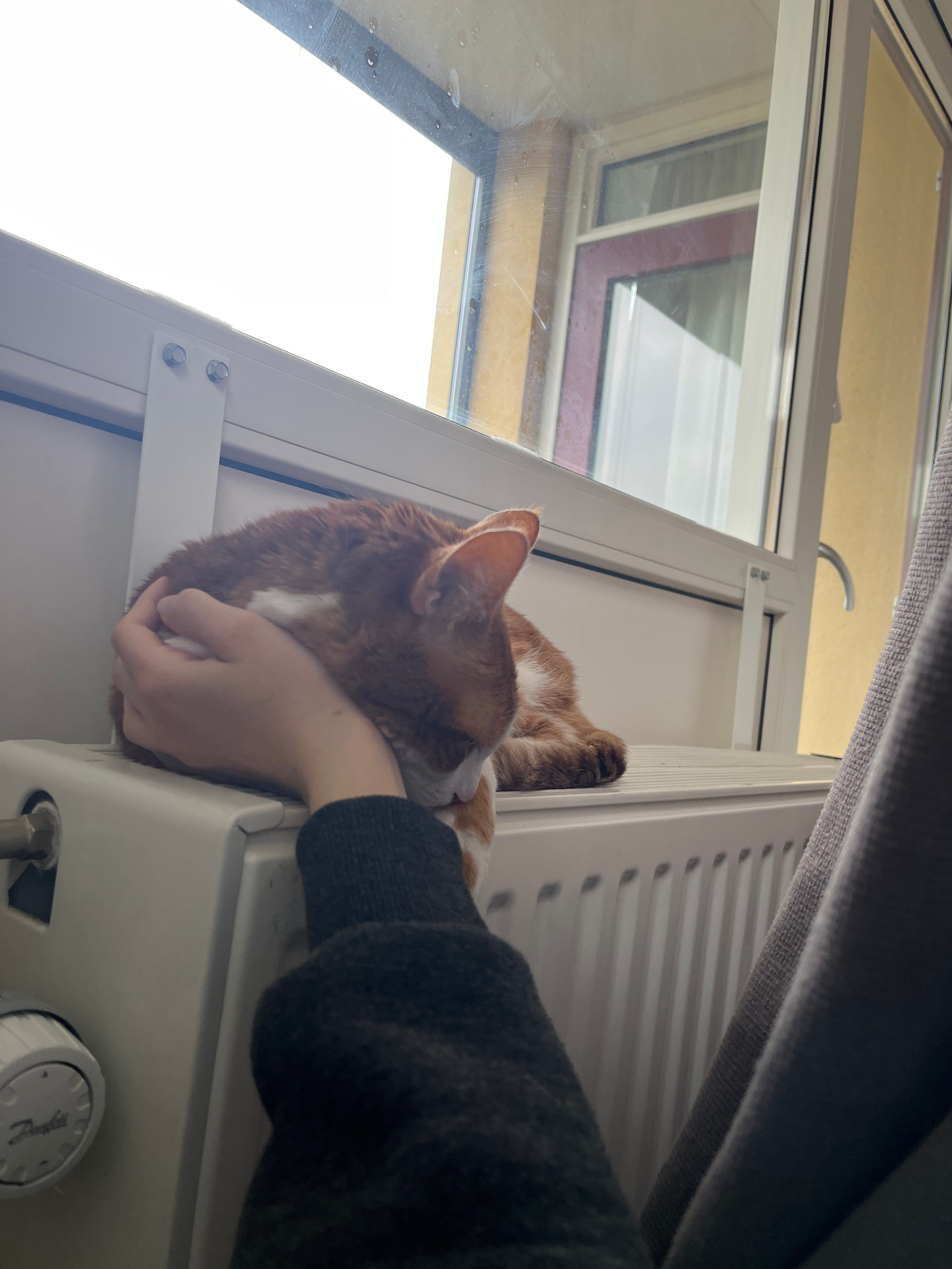image-11