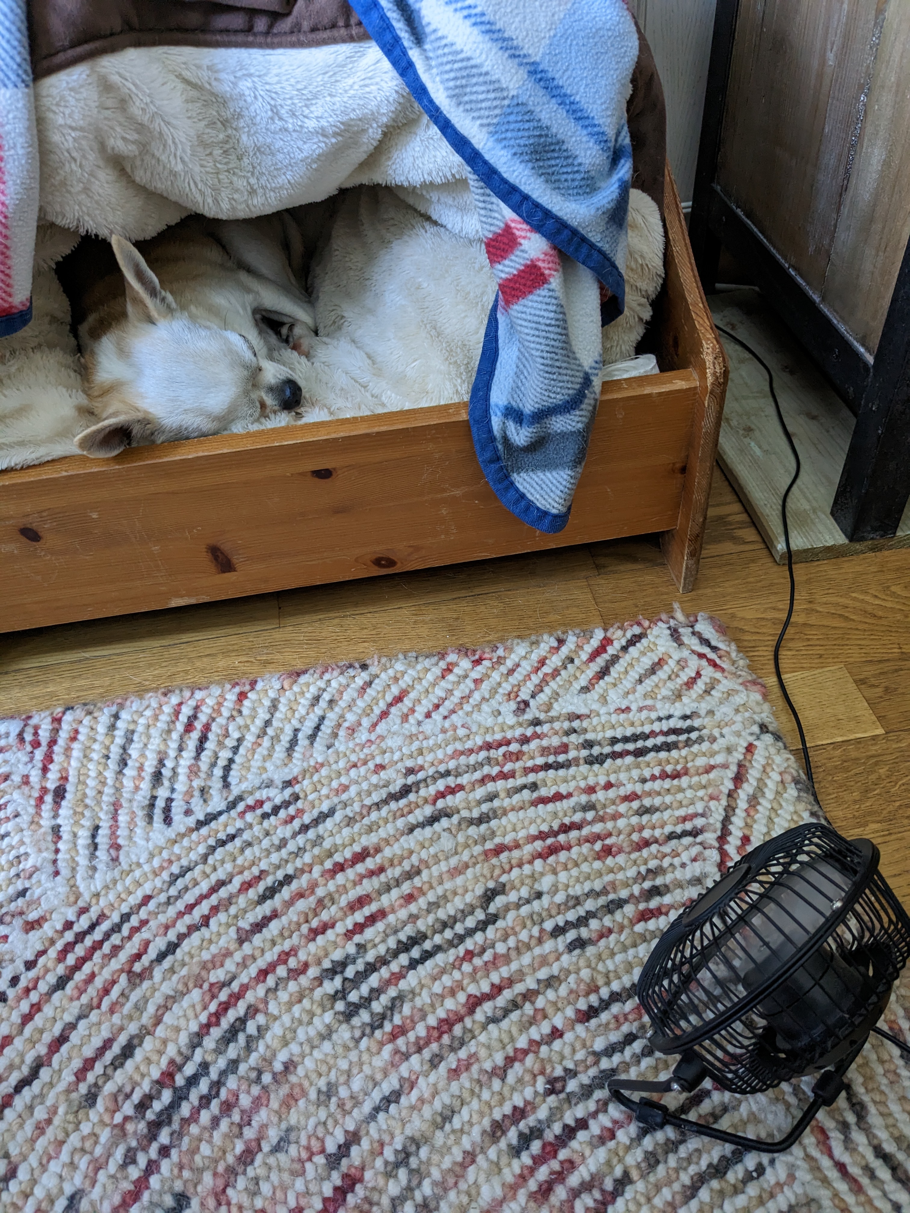 image-5