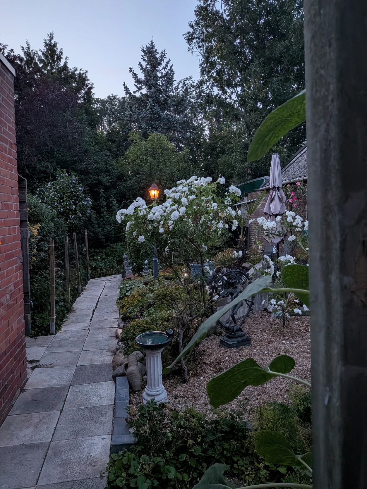 image-19