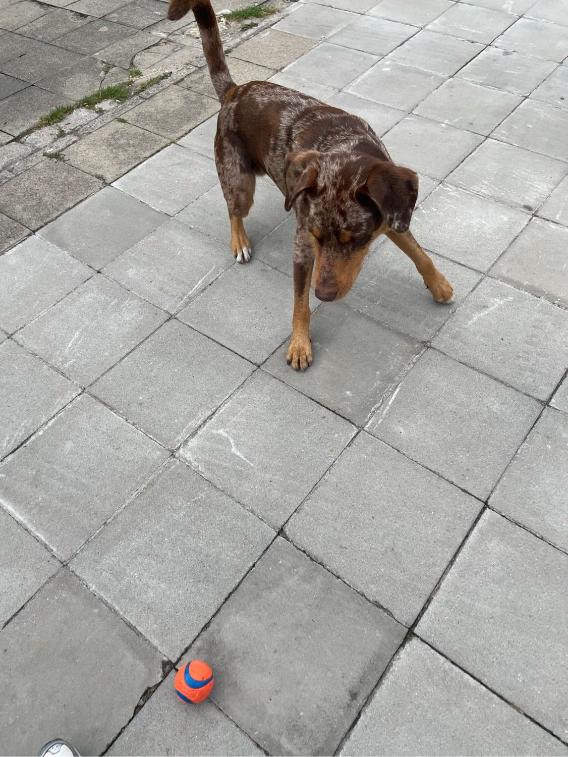 image-8