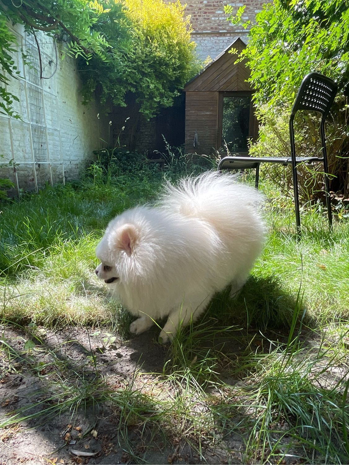 image-9