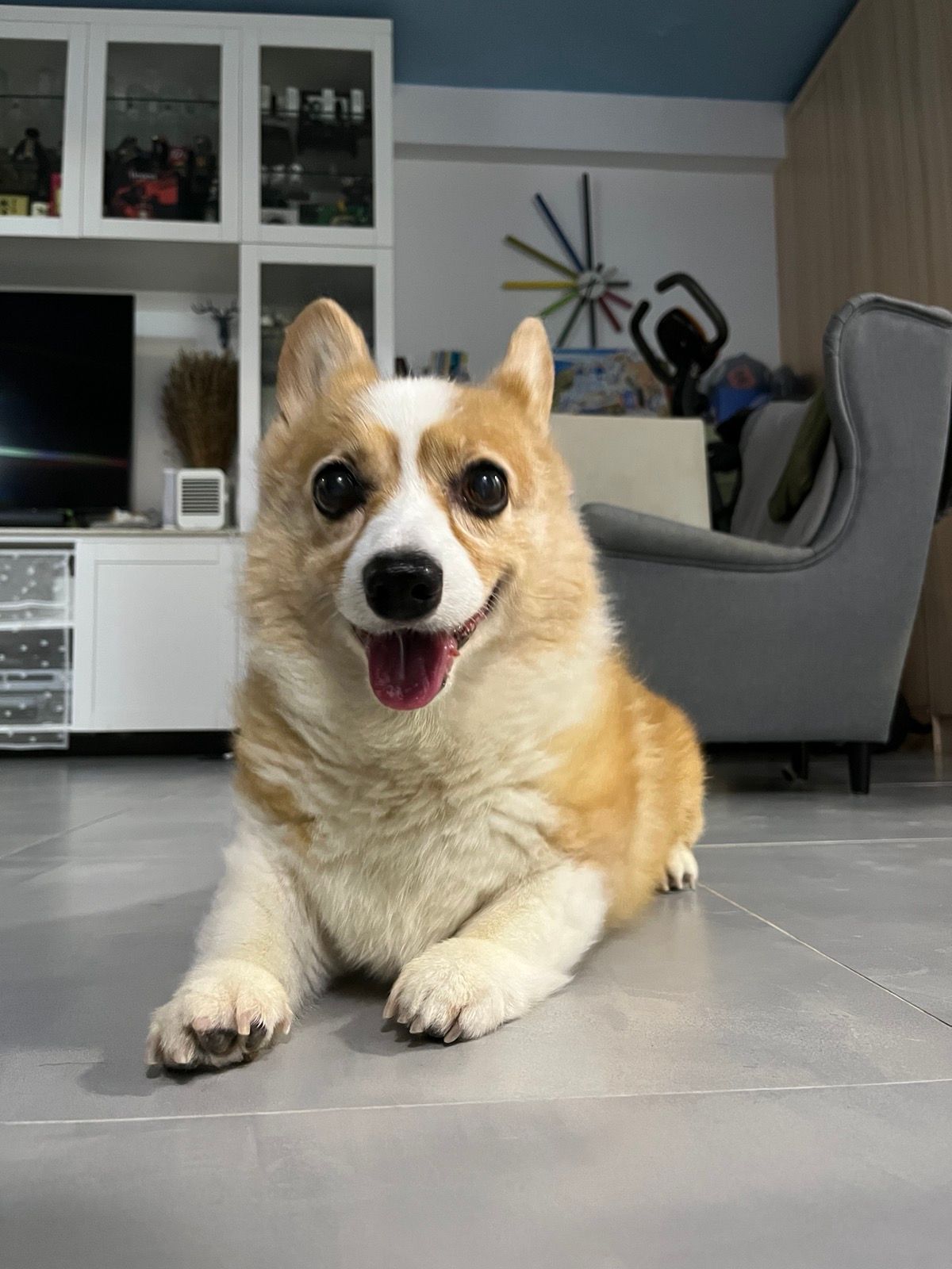 image-8