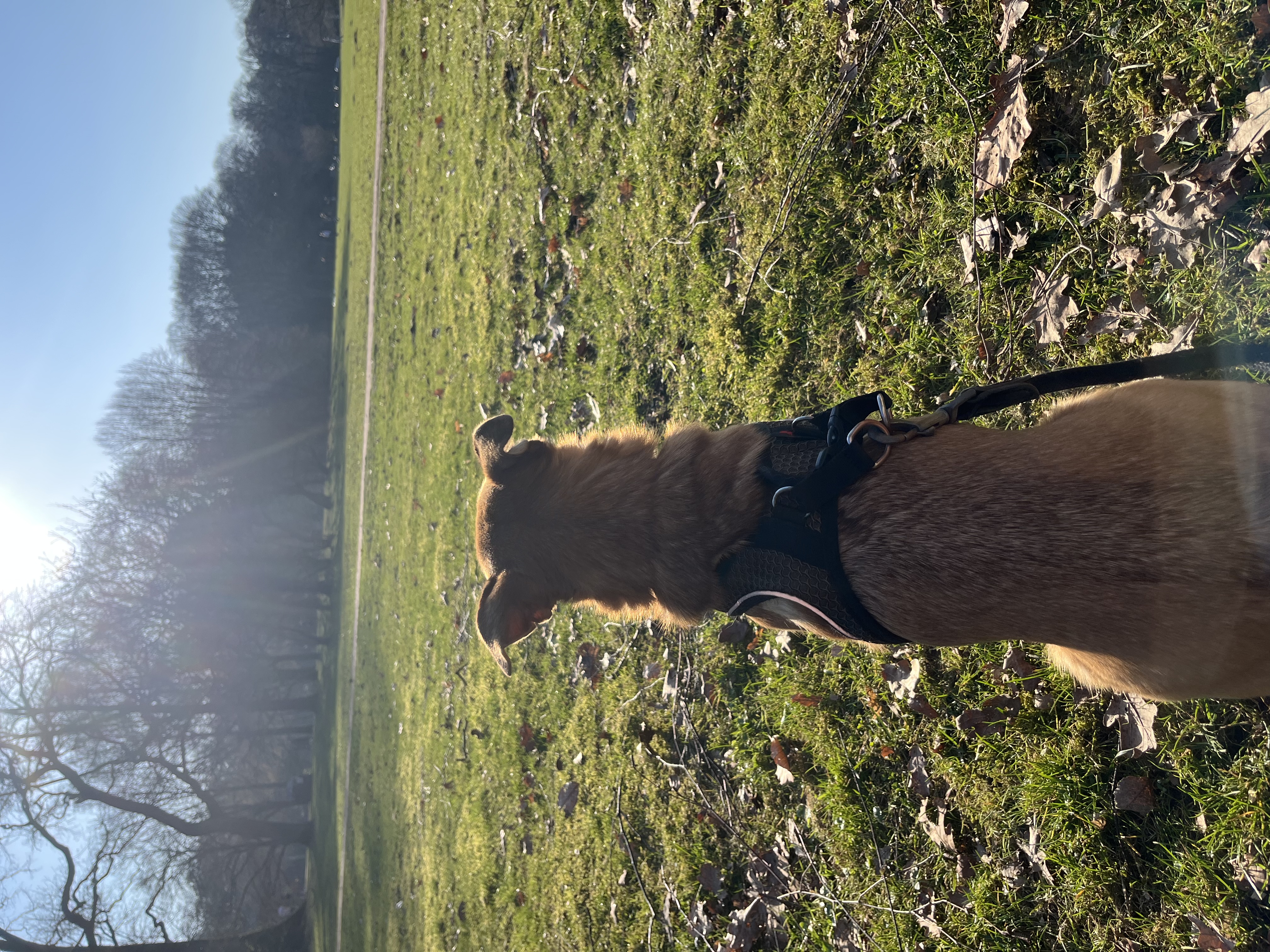 image-10