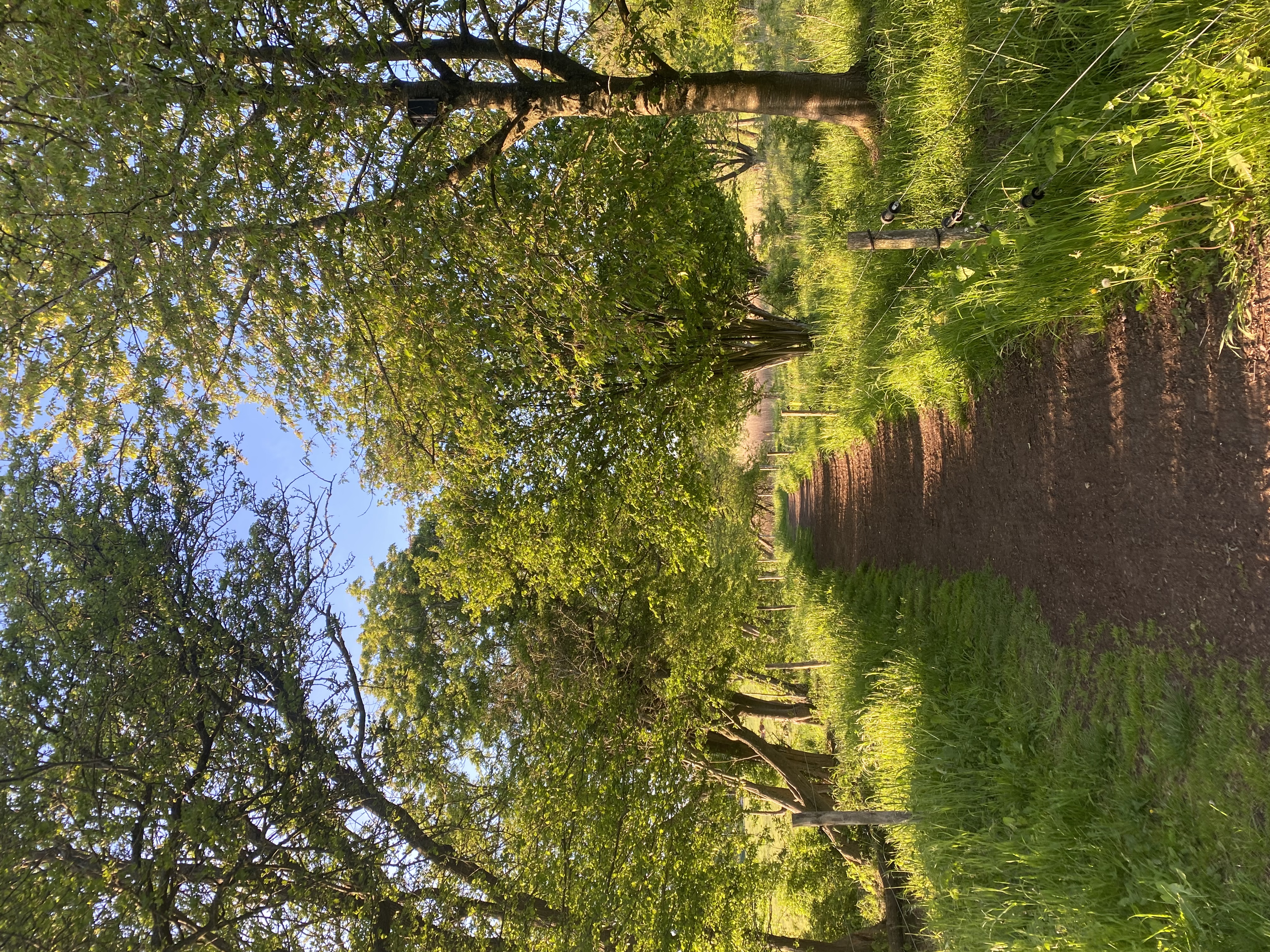 image-7