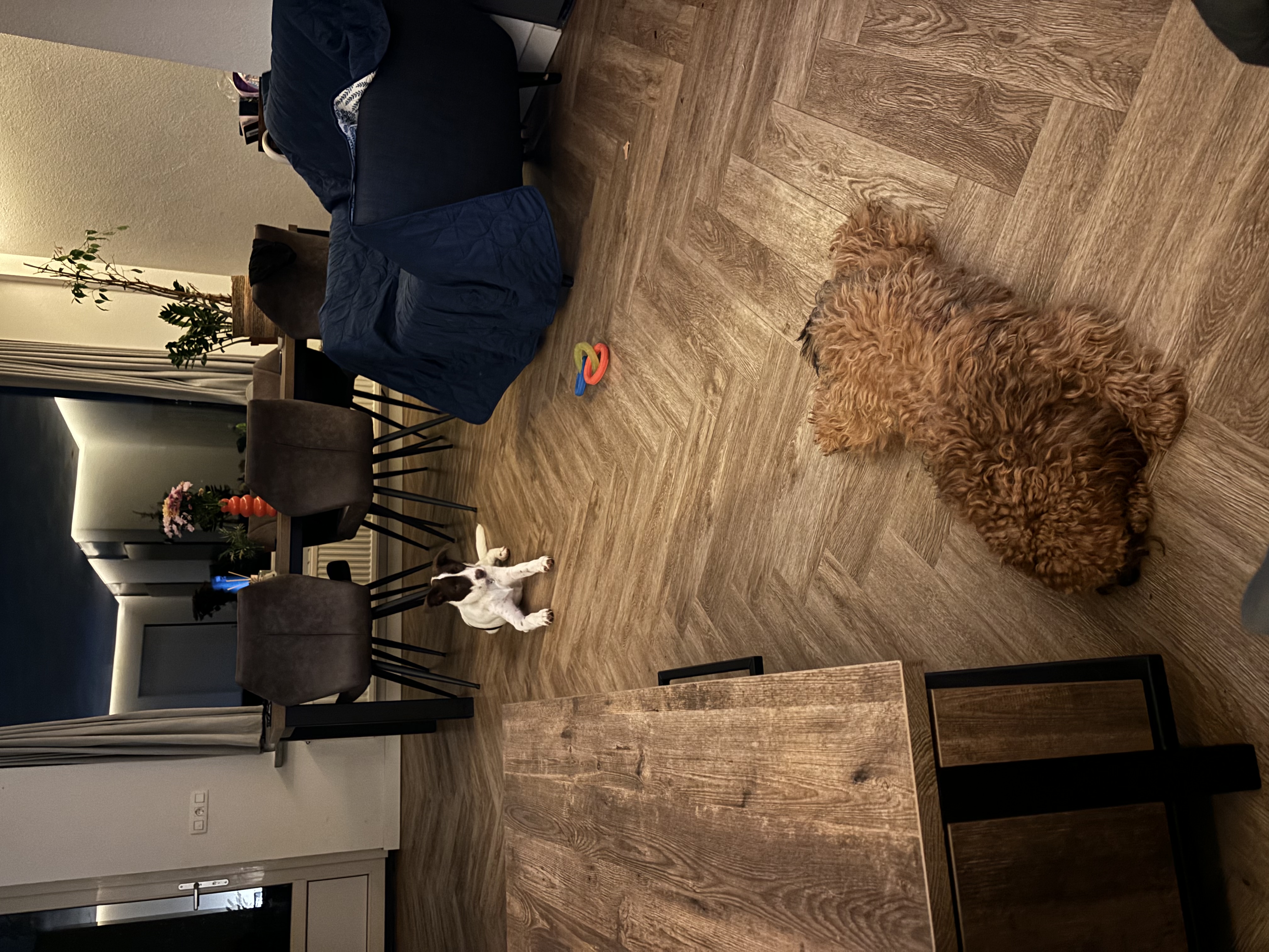 image-8