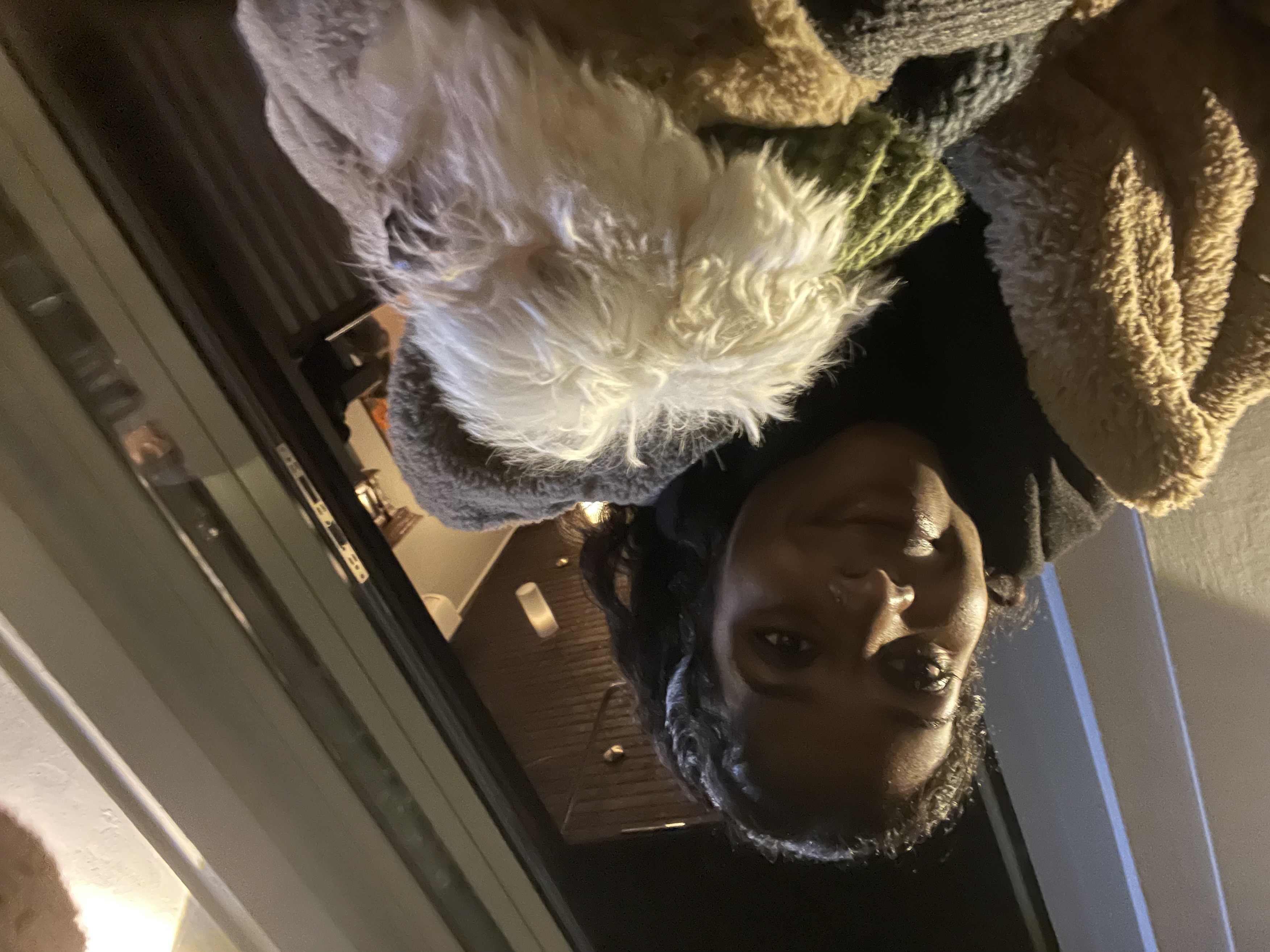 image-7