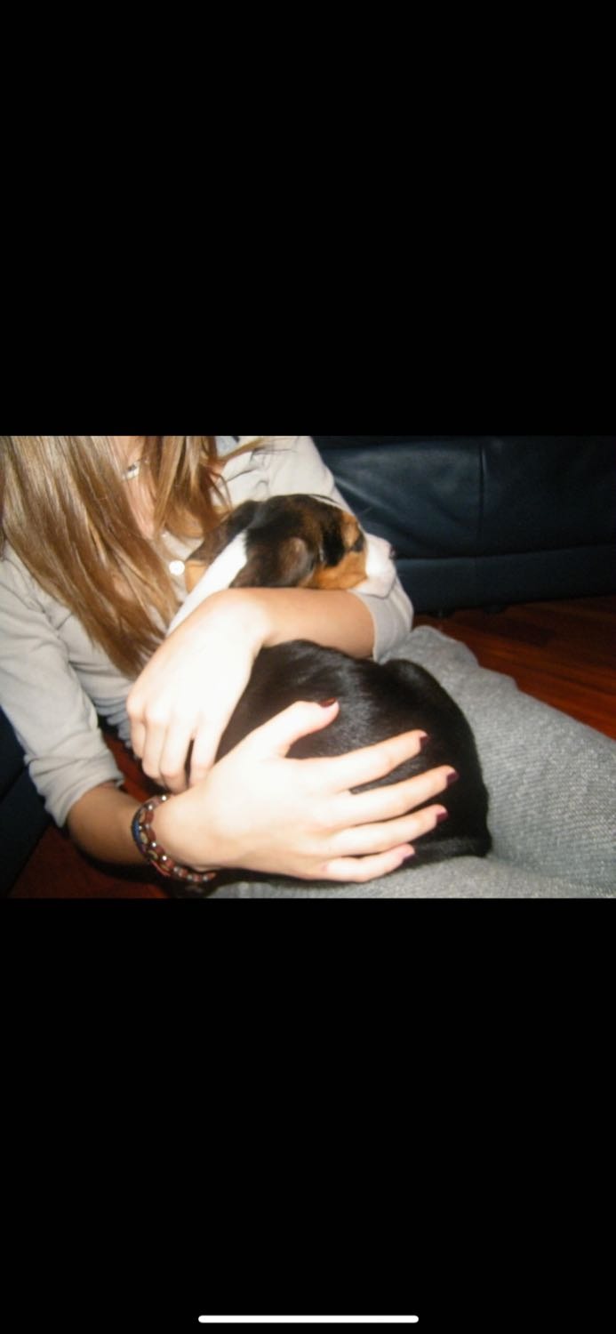 image-5