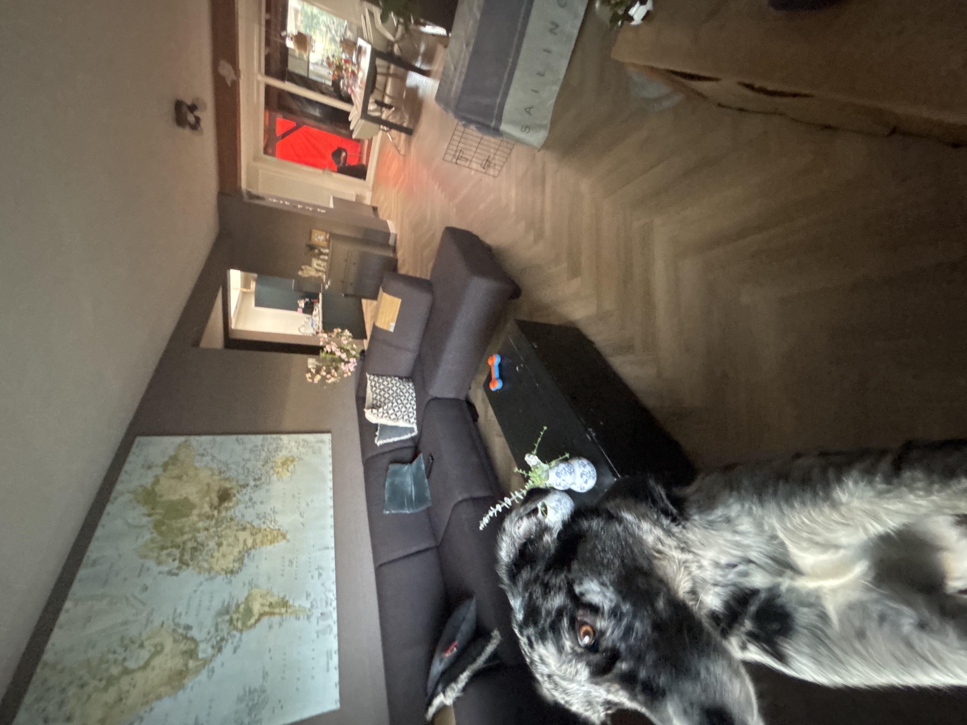 image-9