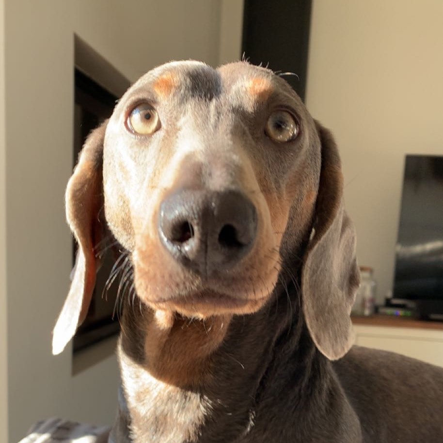 Luchien