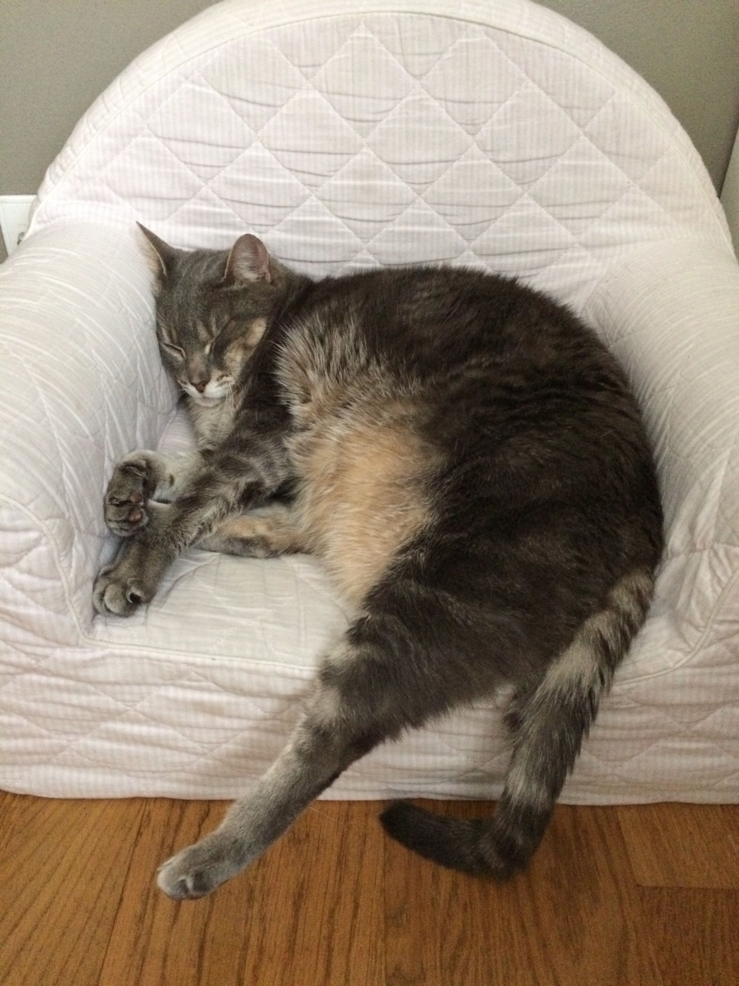 image-4