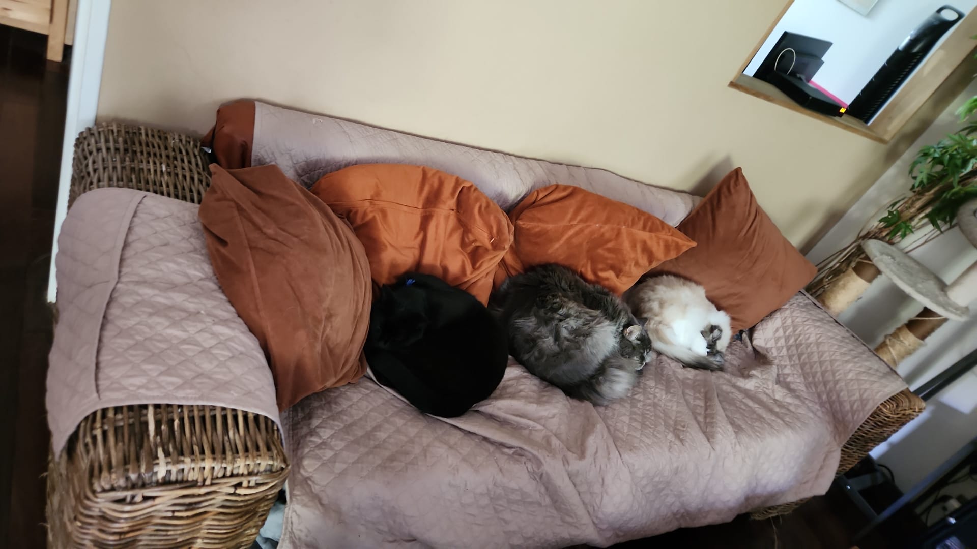 image-5