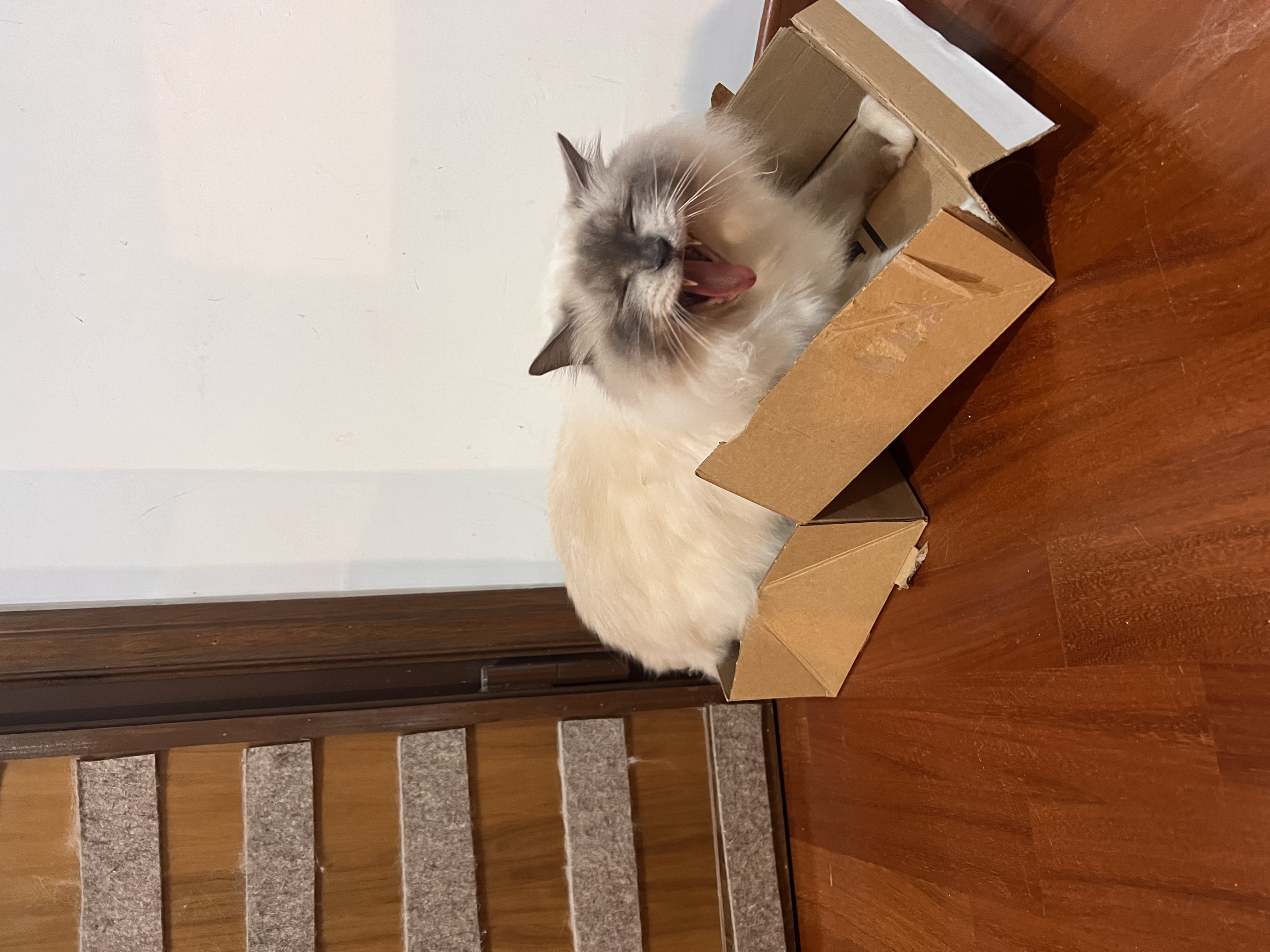 image-14
