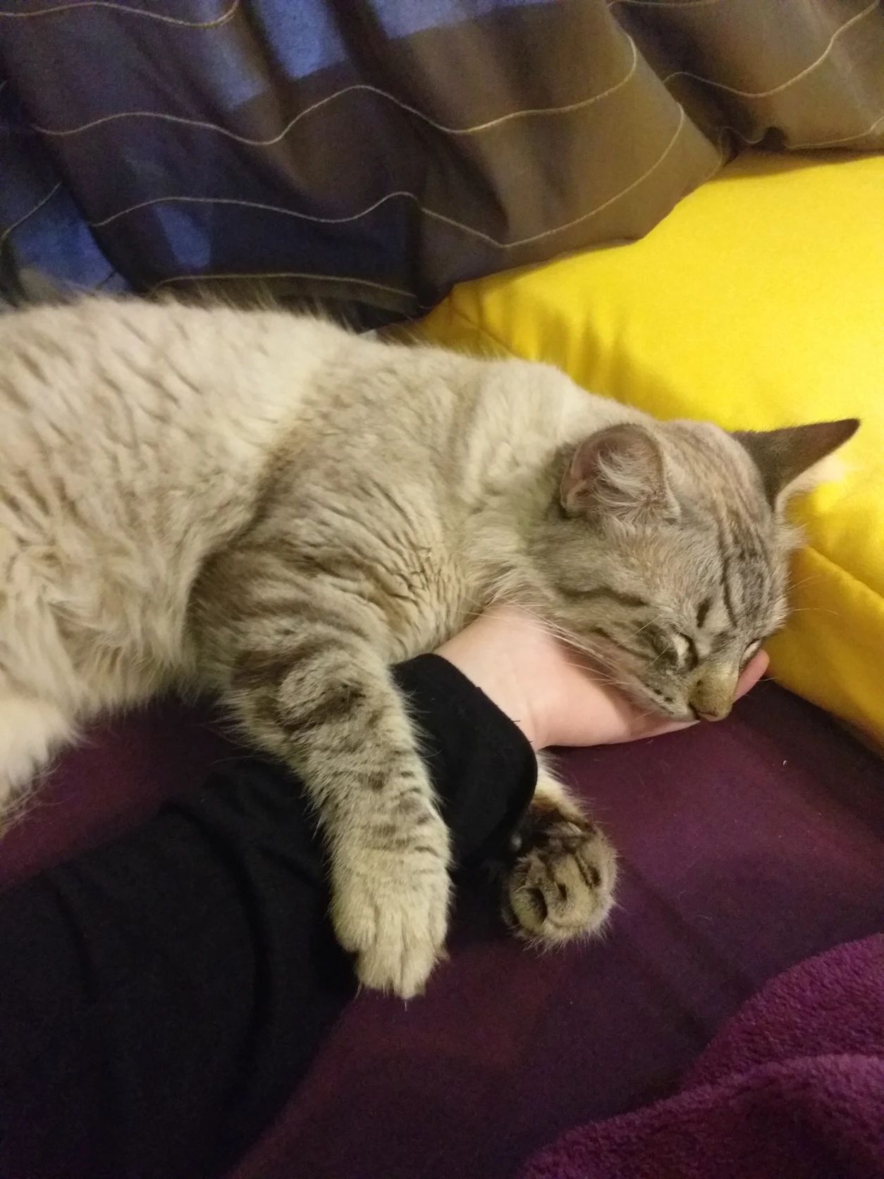 image-9