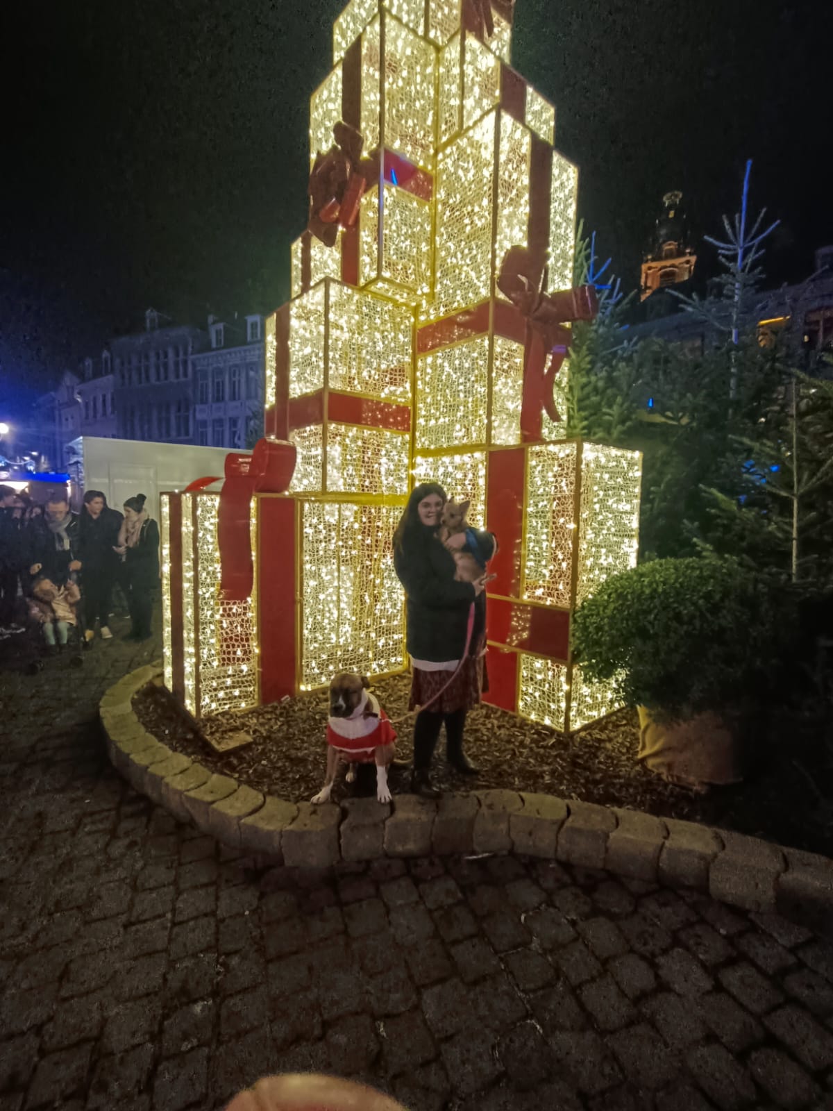 image-9