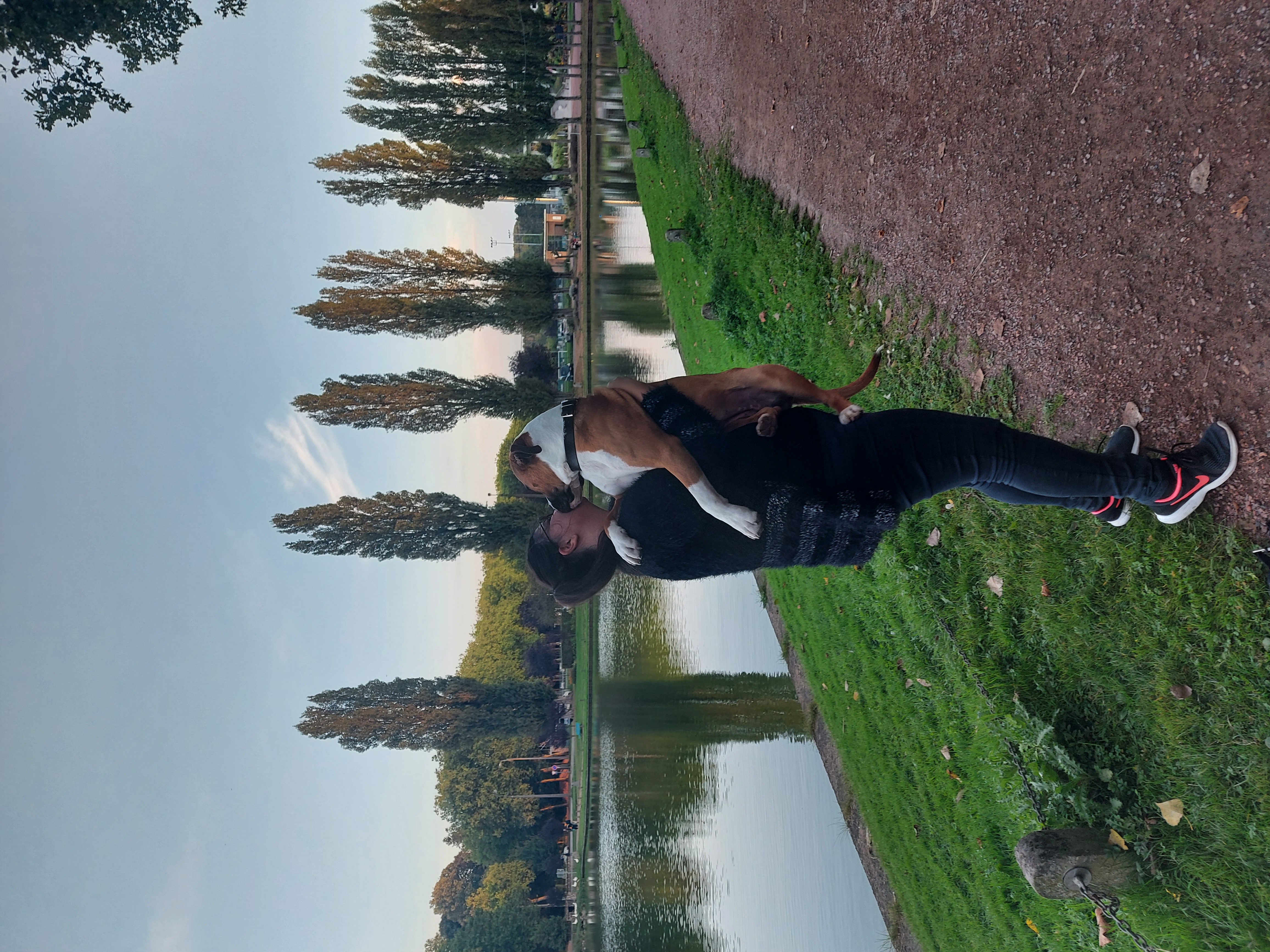 image-6