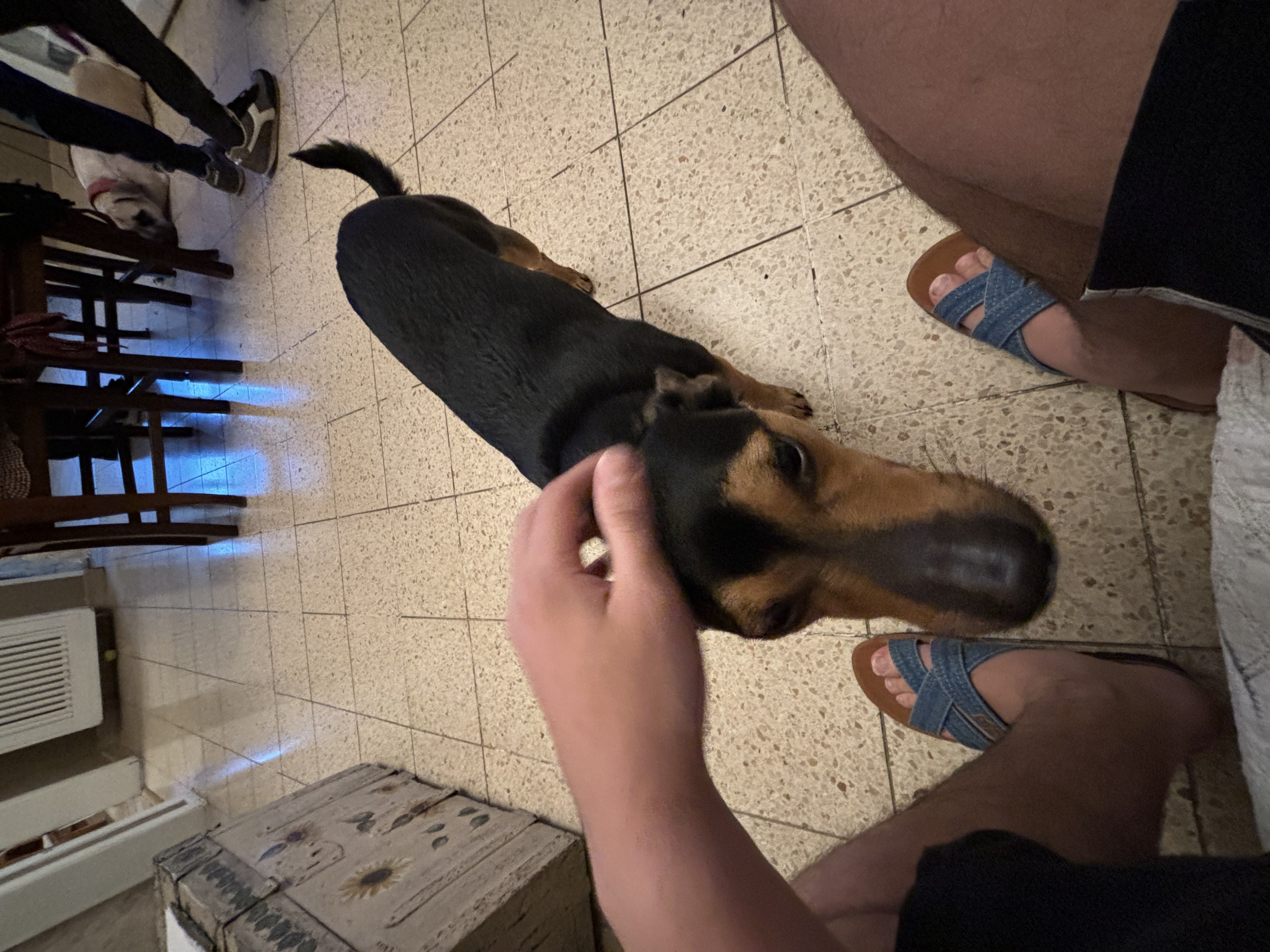 image-7