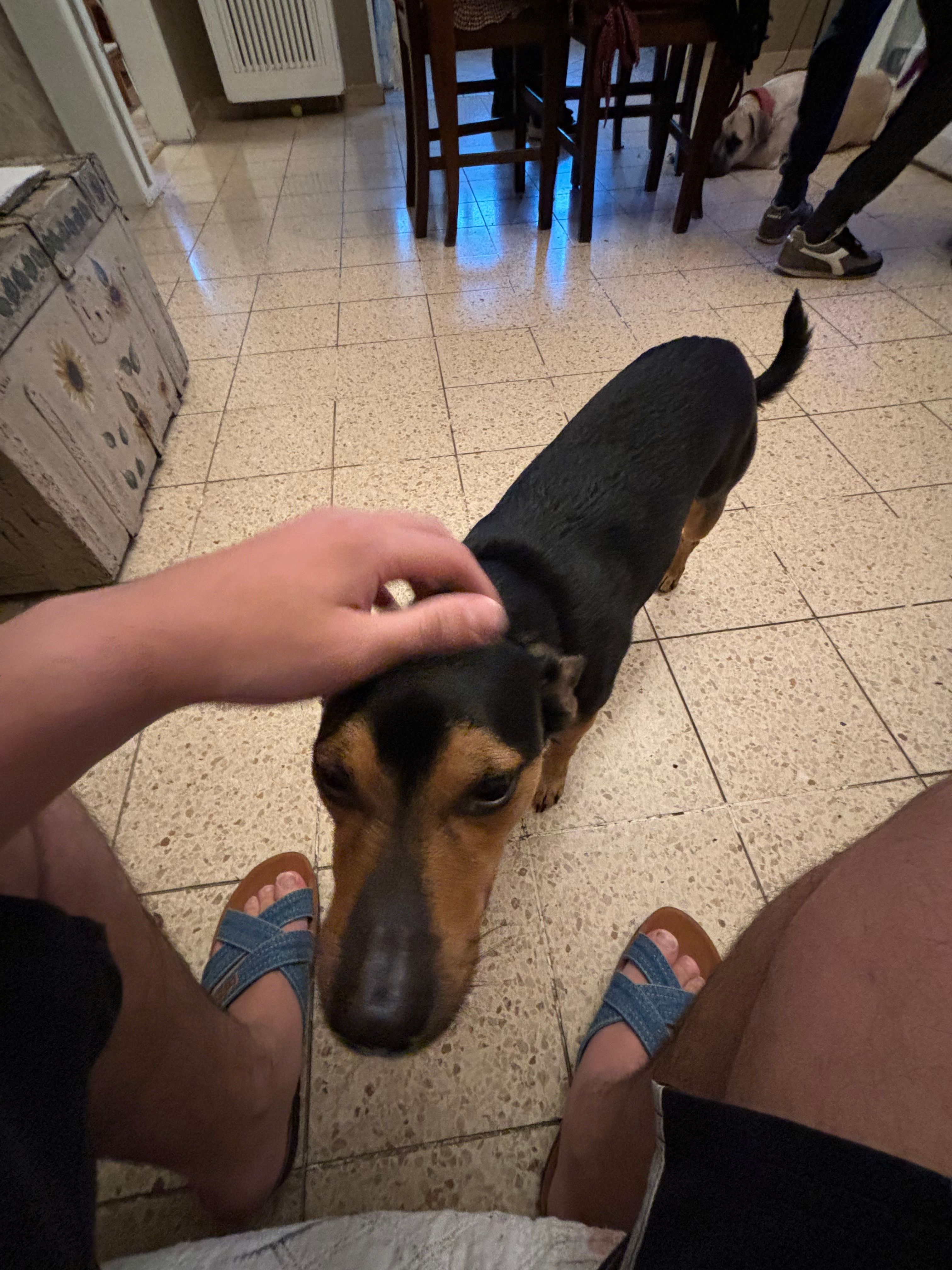 image-7