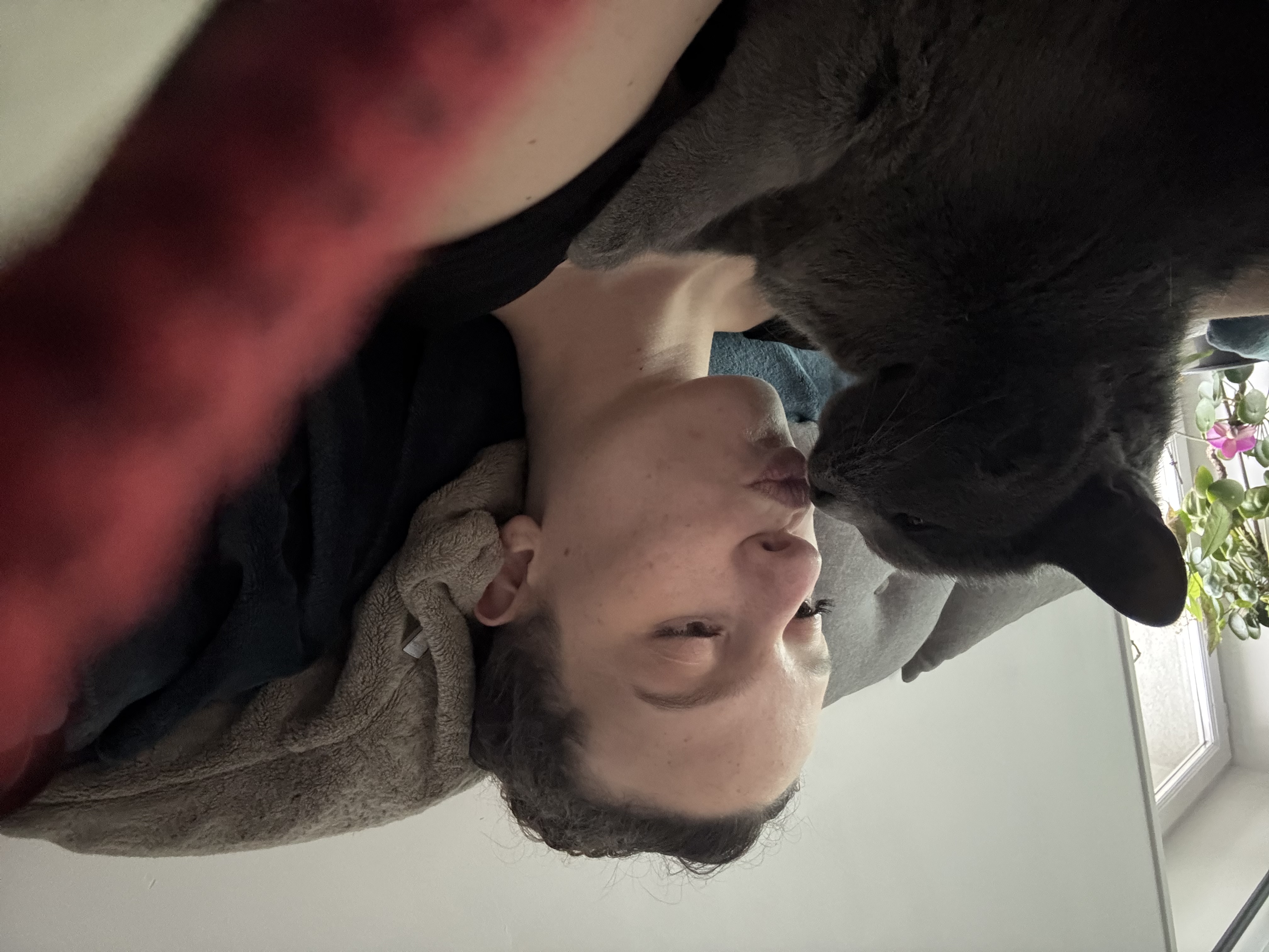image-5