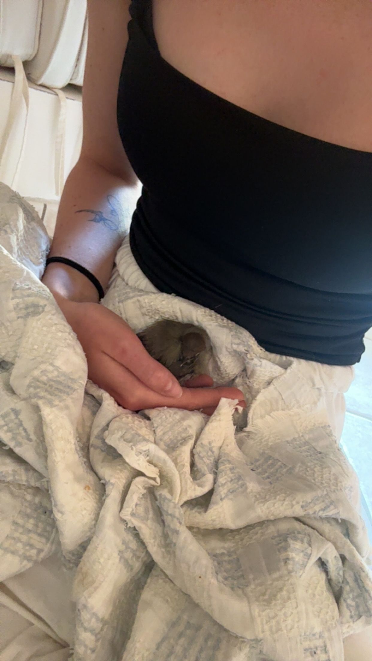 image-8