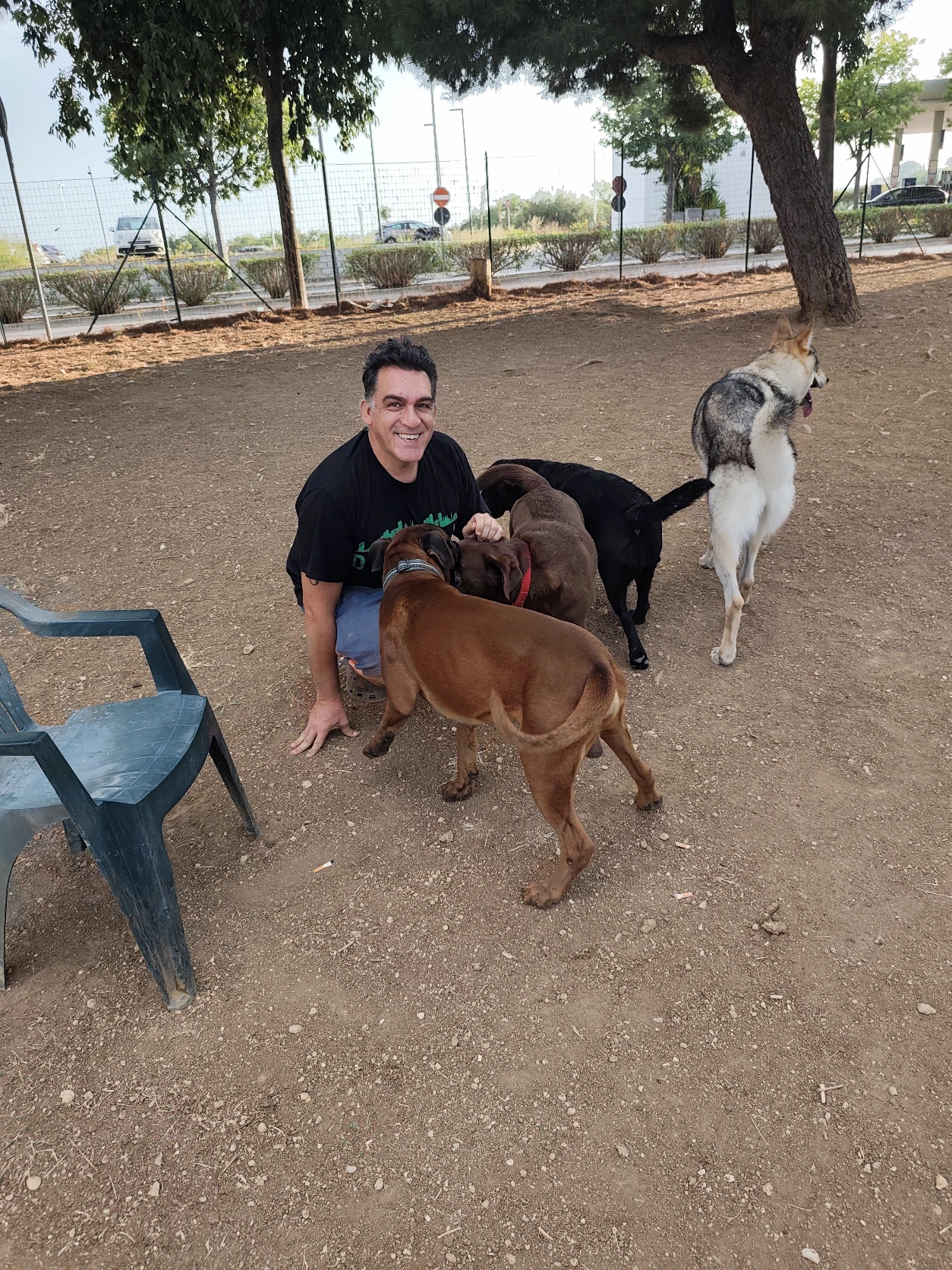 image-19
