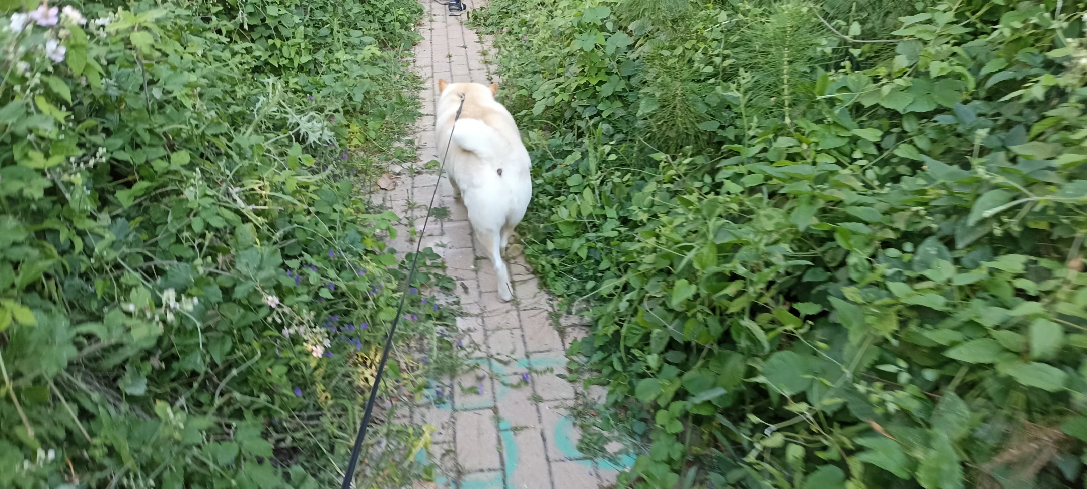 image-10