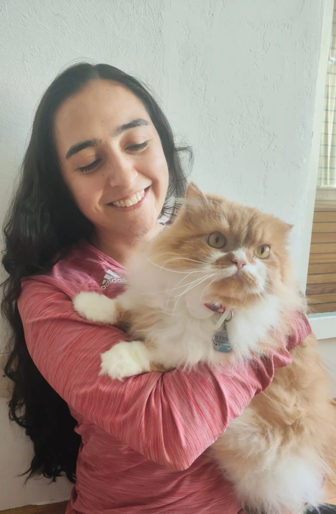 image-2