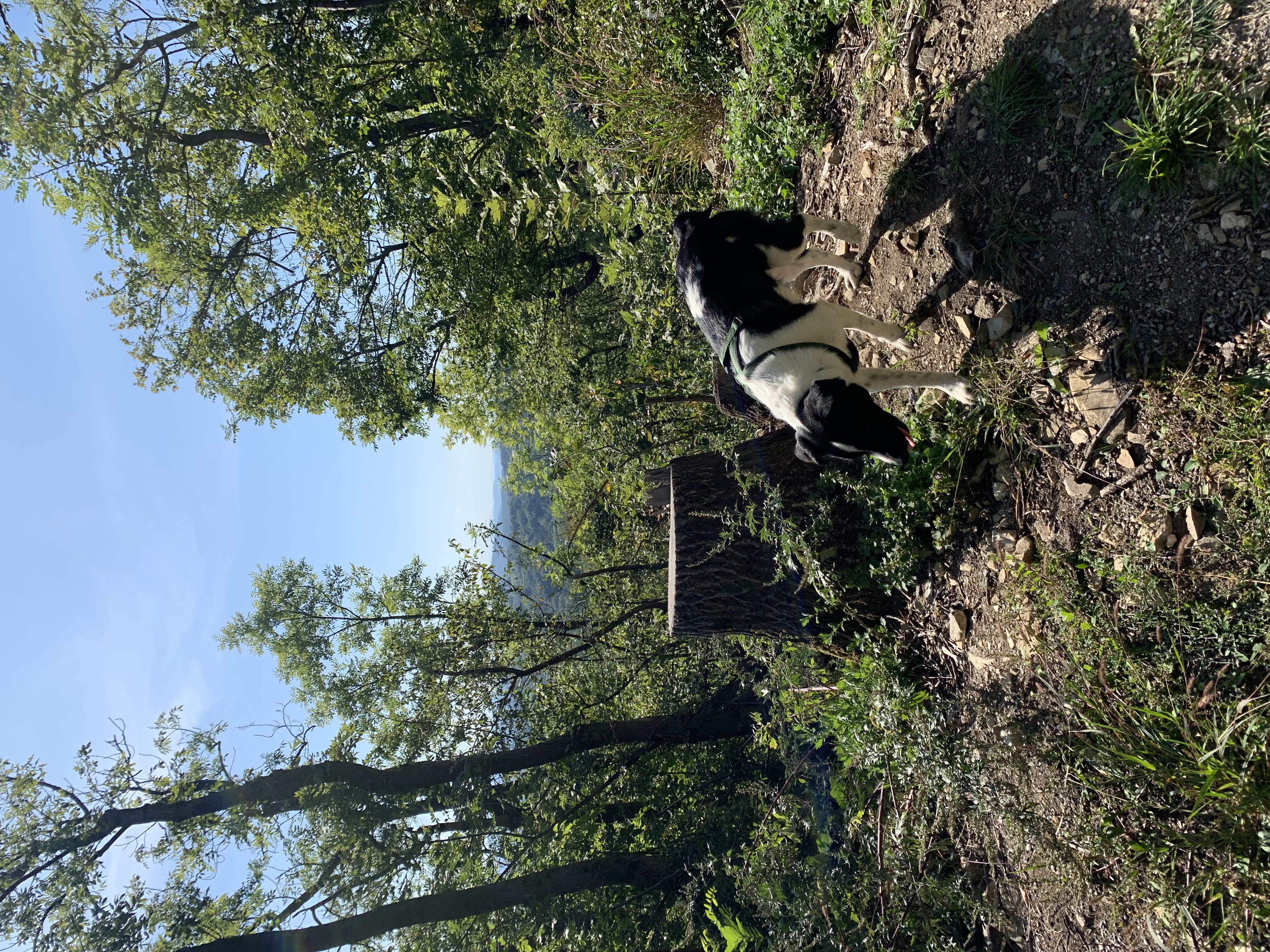image-9