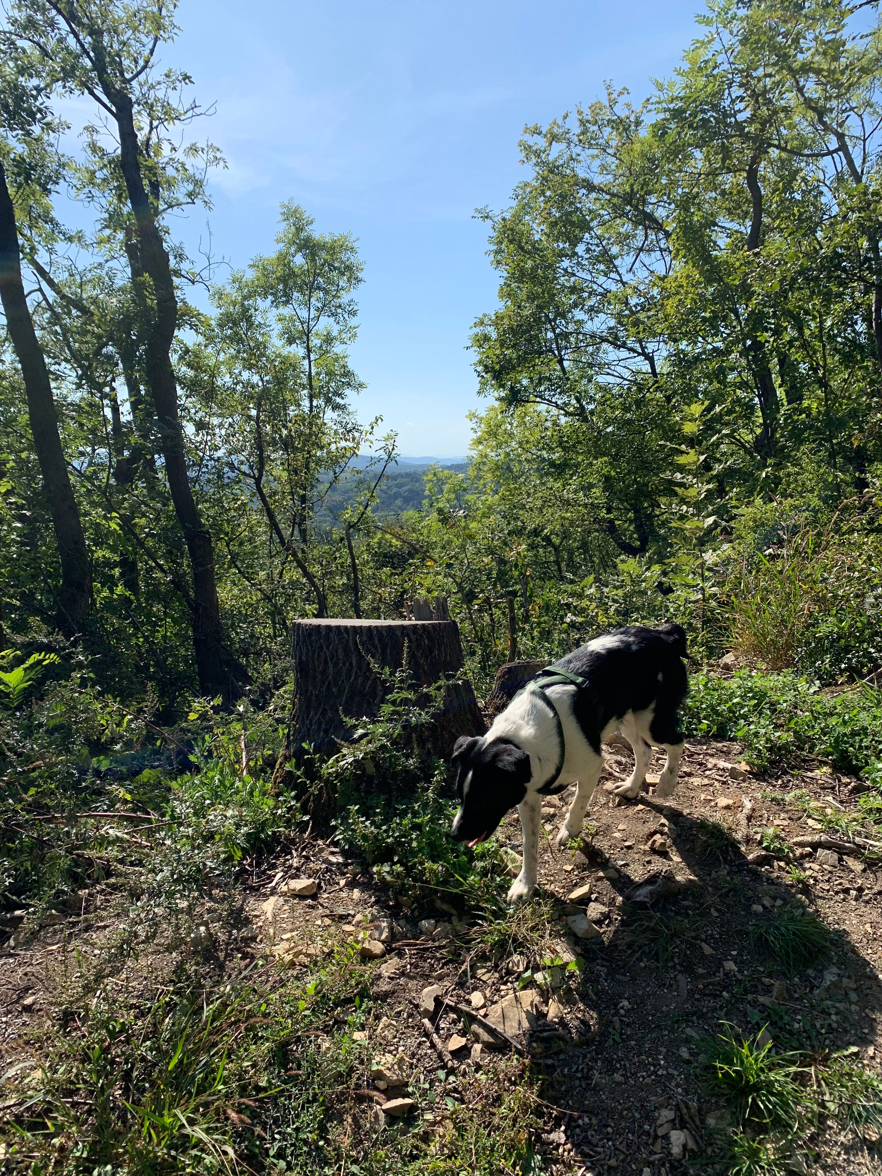 image-9