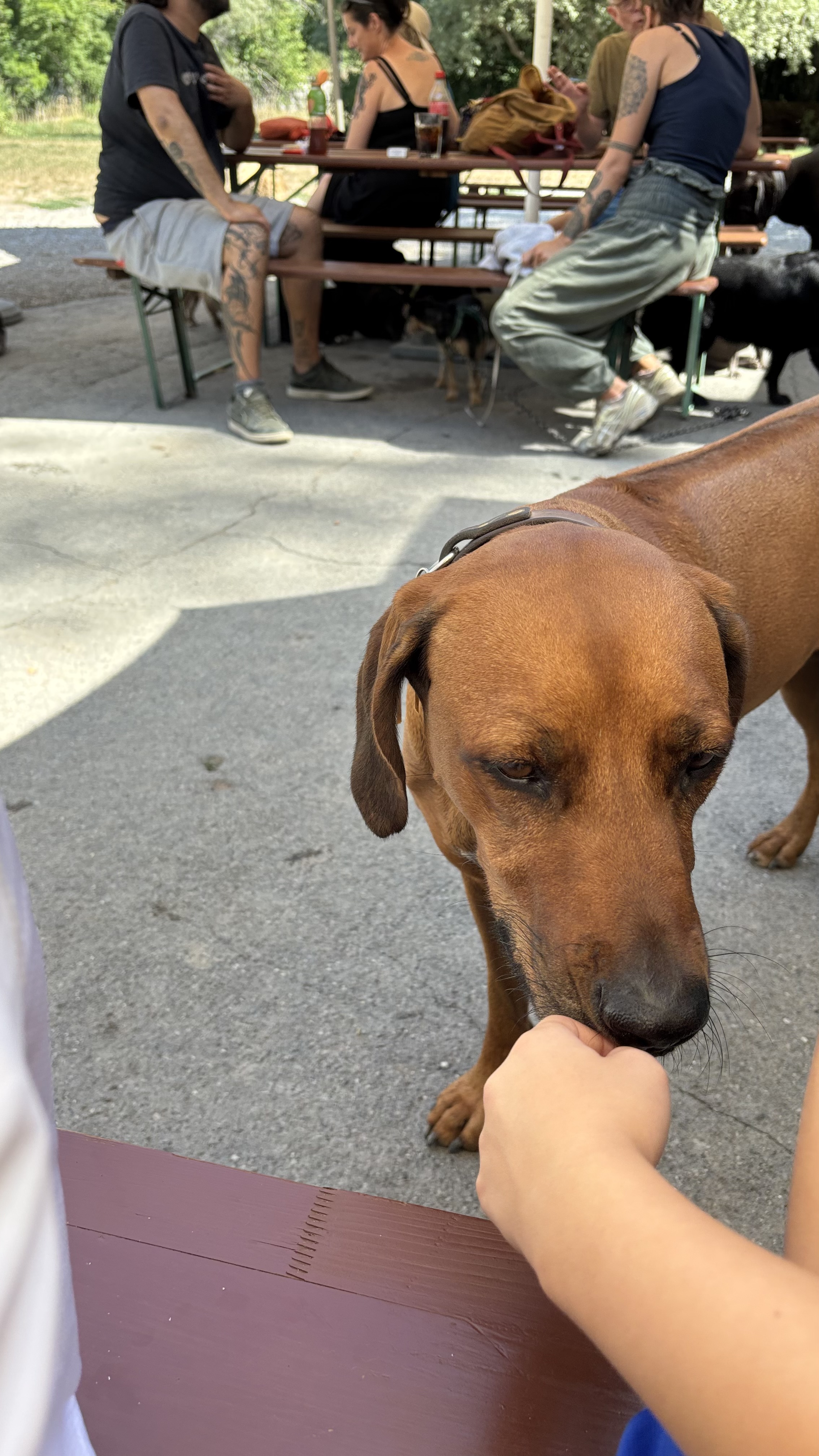image-6