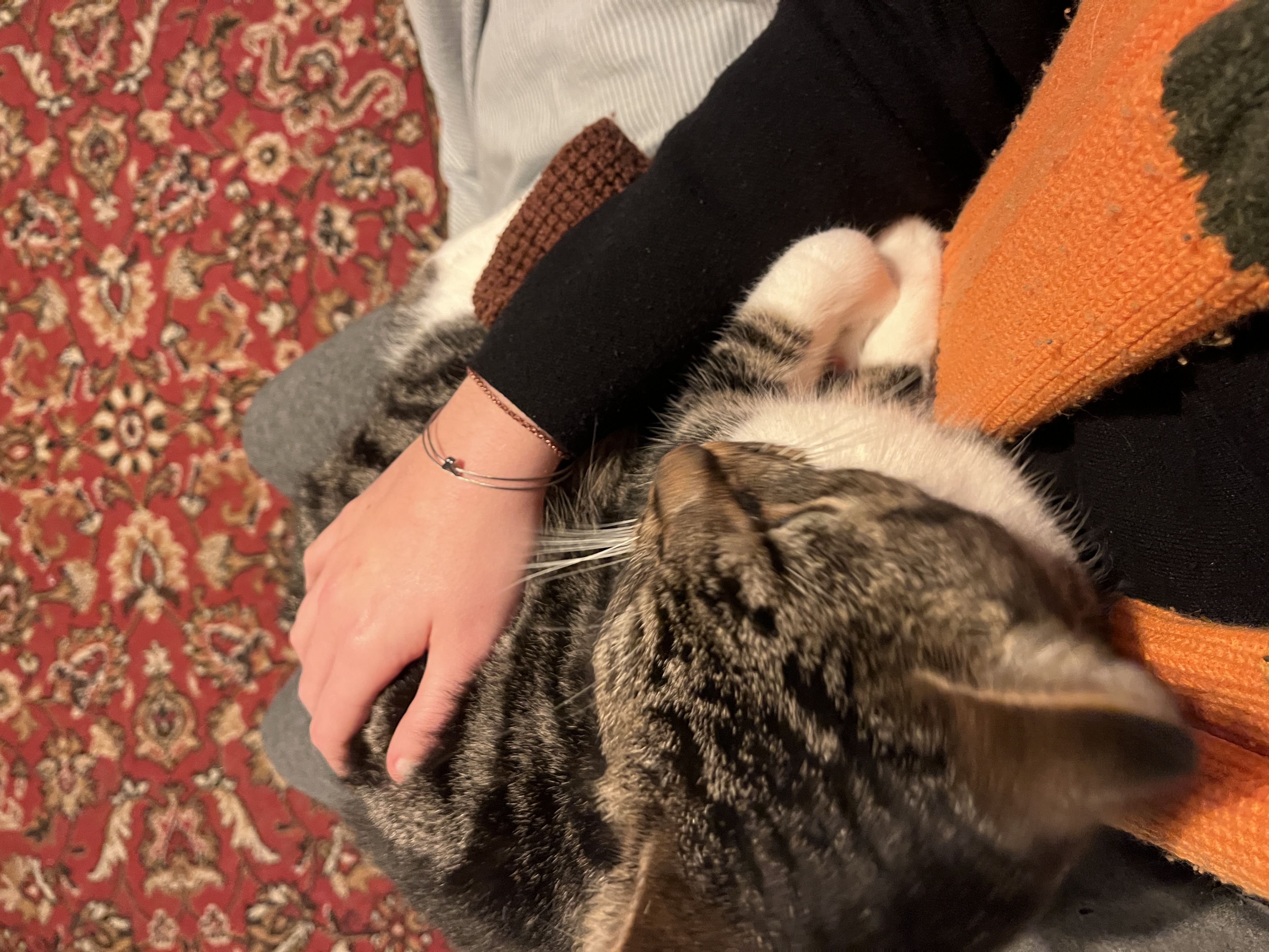 image-6