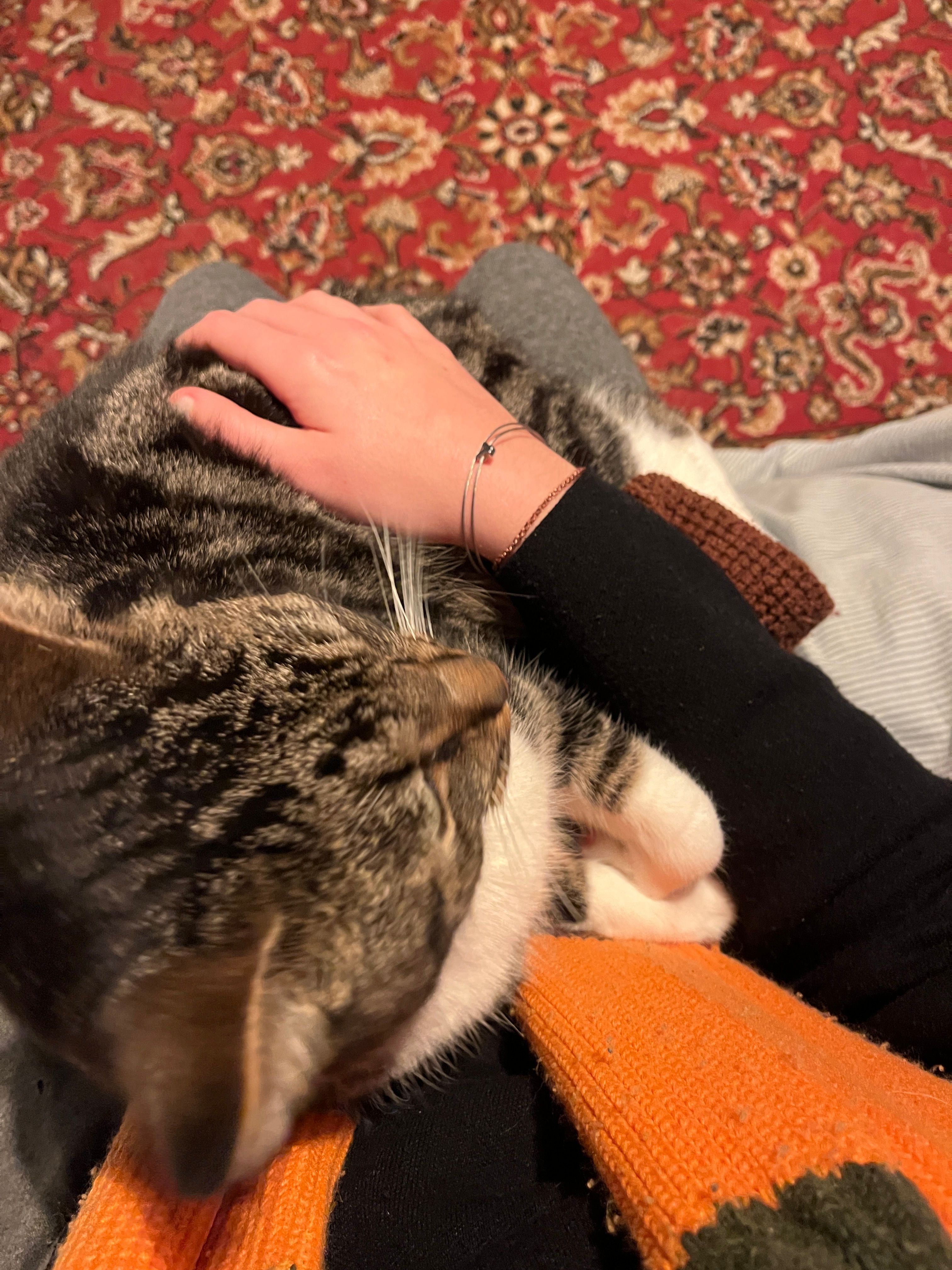 image-6
